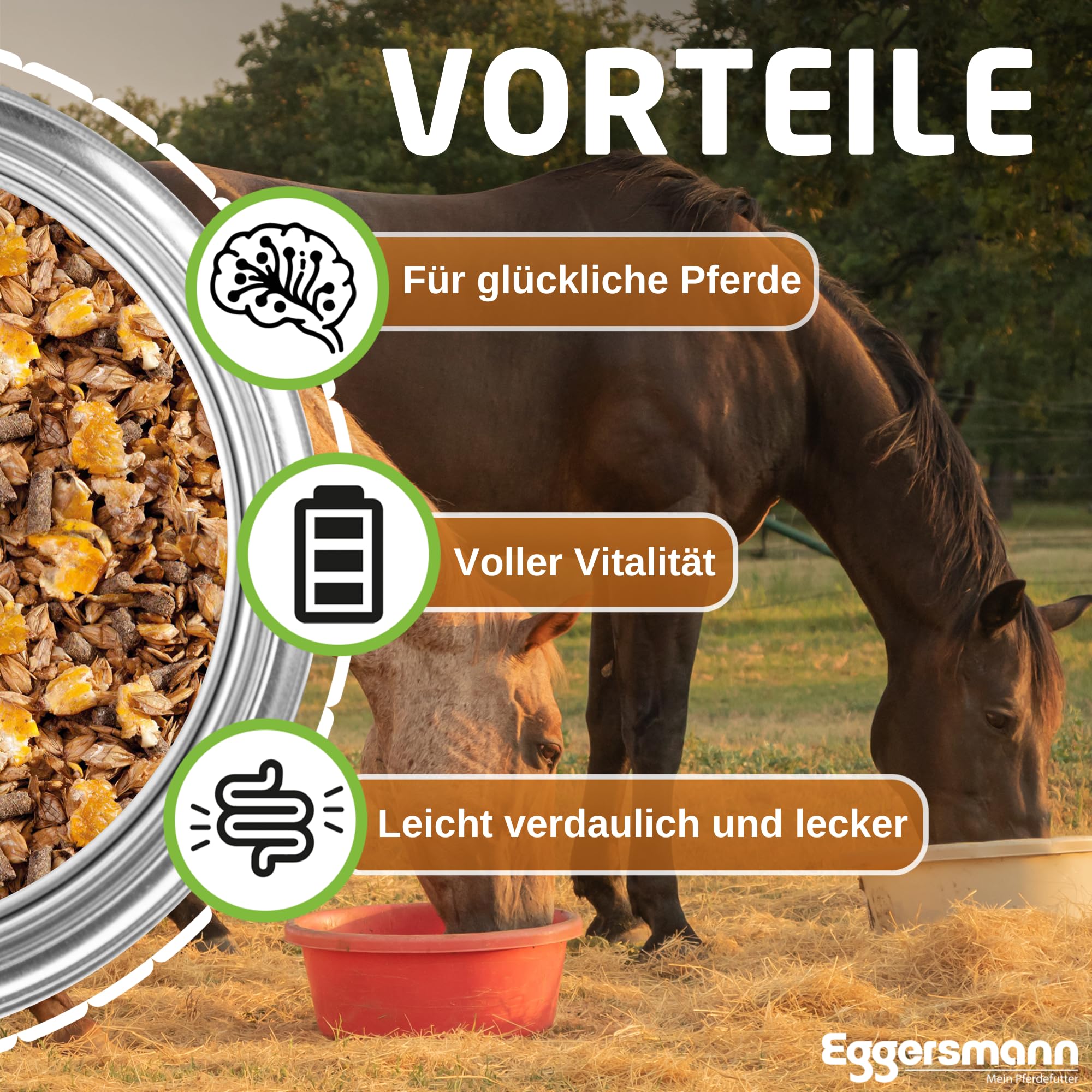 Eggersmann EMH Classic muesli 20 kg - muesli per Cavalli Senza Avena per Cavalli Sportivi per la Protezione dell'apparato Muscolare, mangime Naturale per Cavalli