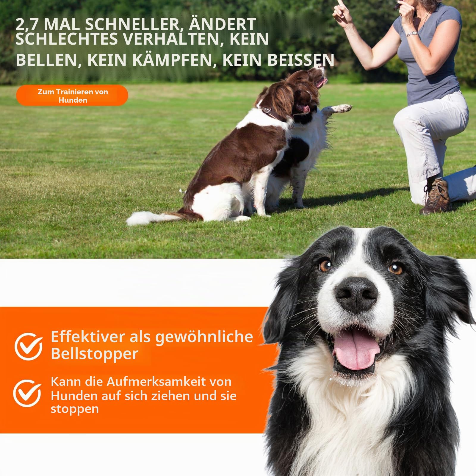 2026 Upgrade Antibell Ultraschall Gerät,40 Fuß Anti Bell Gerät Hunde, 2 Modi Antibell für Hunde mit Stroboskop Taschenlampe, wasserdicht,Geeignet für kleine, mittelgroße und große Hunde.