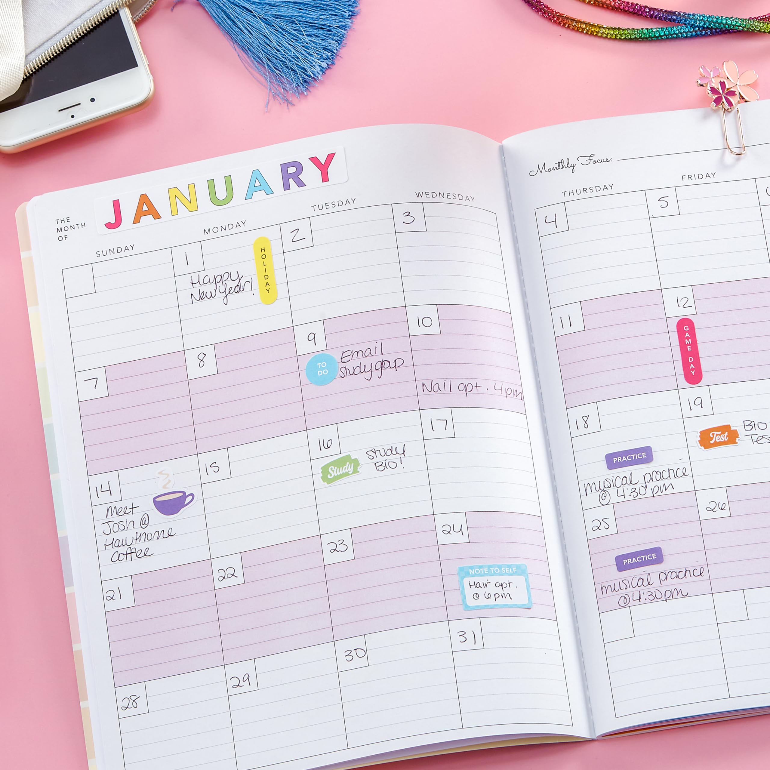 Astrobrights Undated Student Planner, 14-Month Layout, Flexible Cover, 8.5" x 11", Premium 28 lb. Paper, 200 Stickers, Daisy (91086) - Image 3