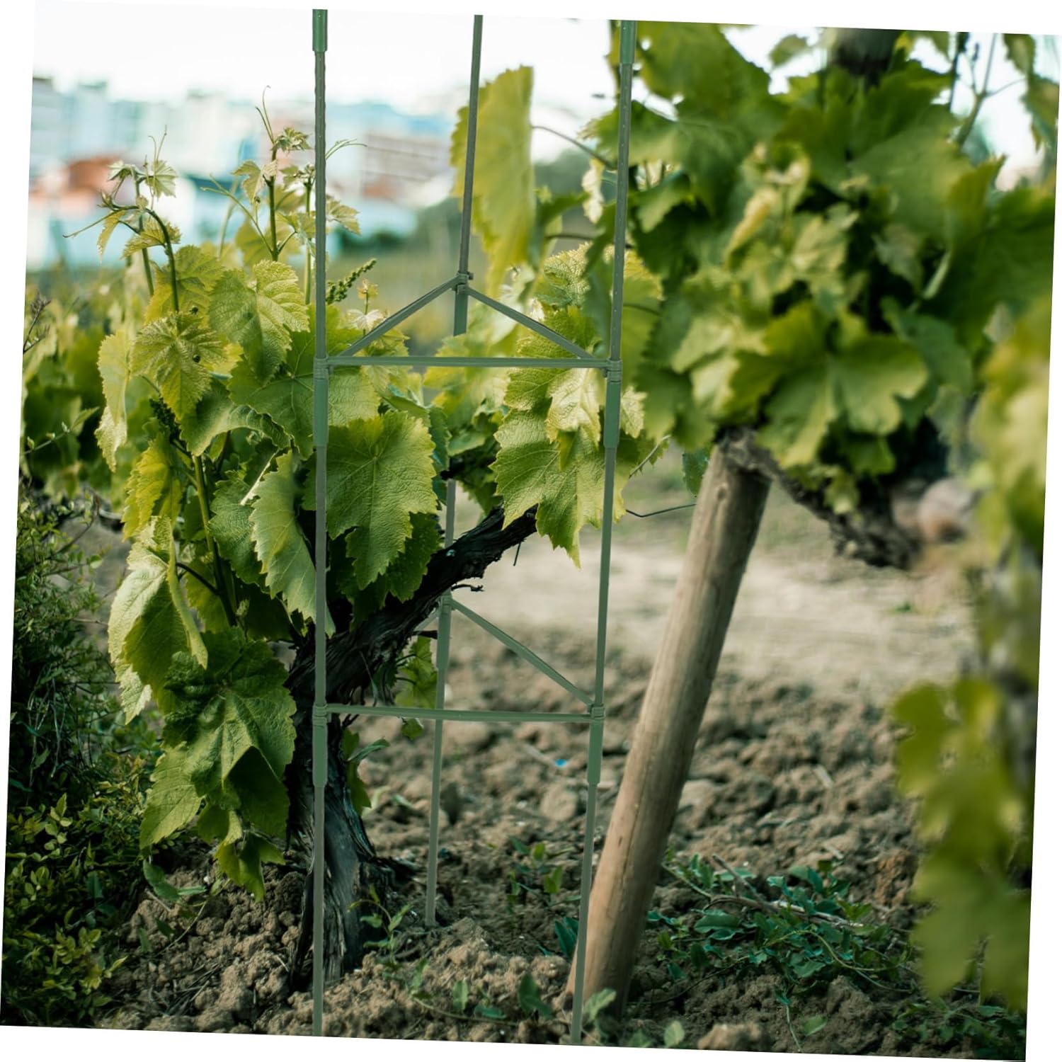 3-Pack Tomato Stand Plant Climbing Support Garden Trellis Netting Metal Trellis for Potted Plants