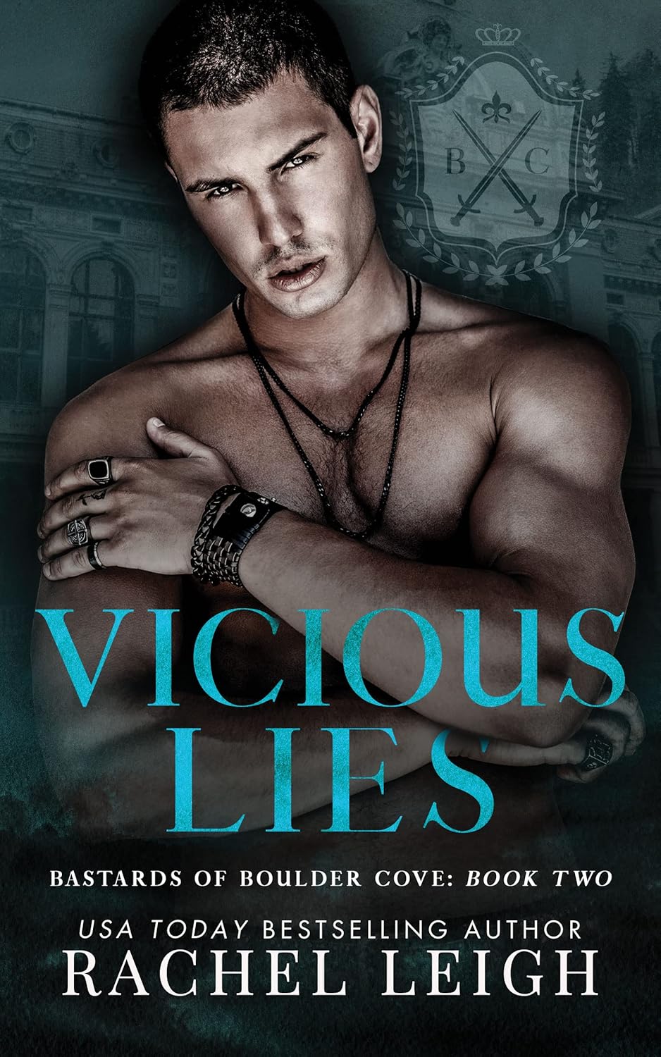 Vicious Lies An Academy Romance (Bastards of Boulder Cove Book 2