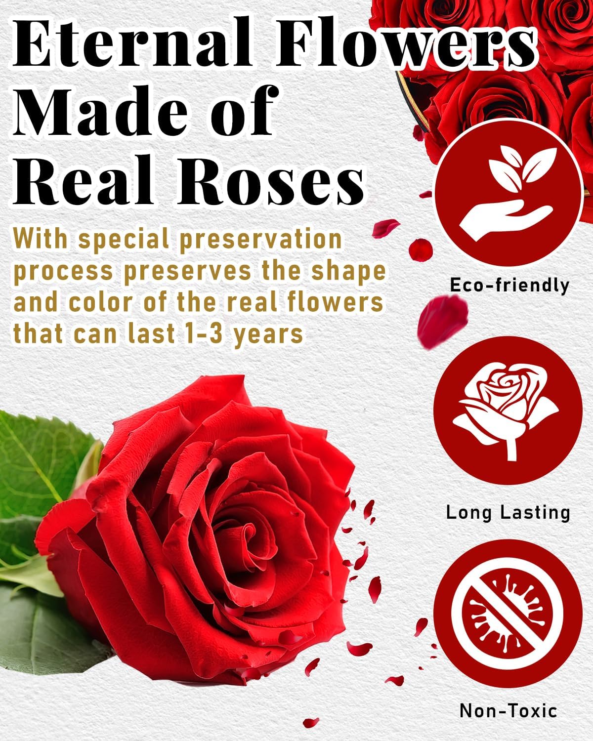 Changshunqi Forever Flowers Preserved Roses in a Box - 7 Preserved Flowers in a Box Last 2-3 Years, Rose Forever Birthday Flower Gifts for Women Her Wife Anniversary Mothers Rose Gift for Her
