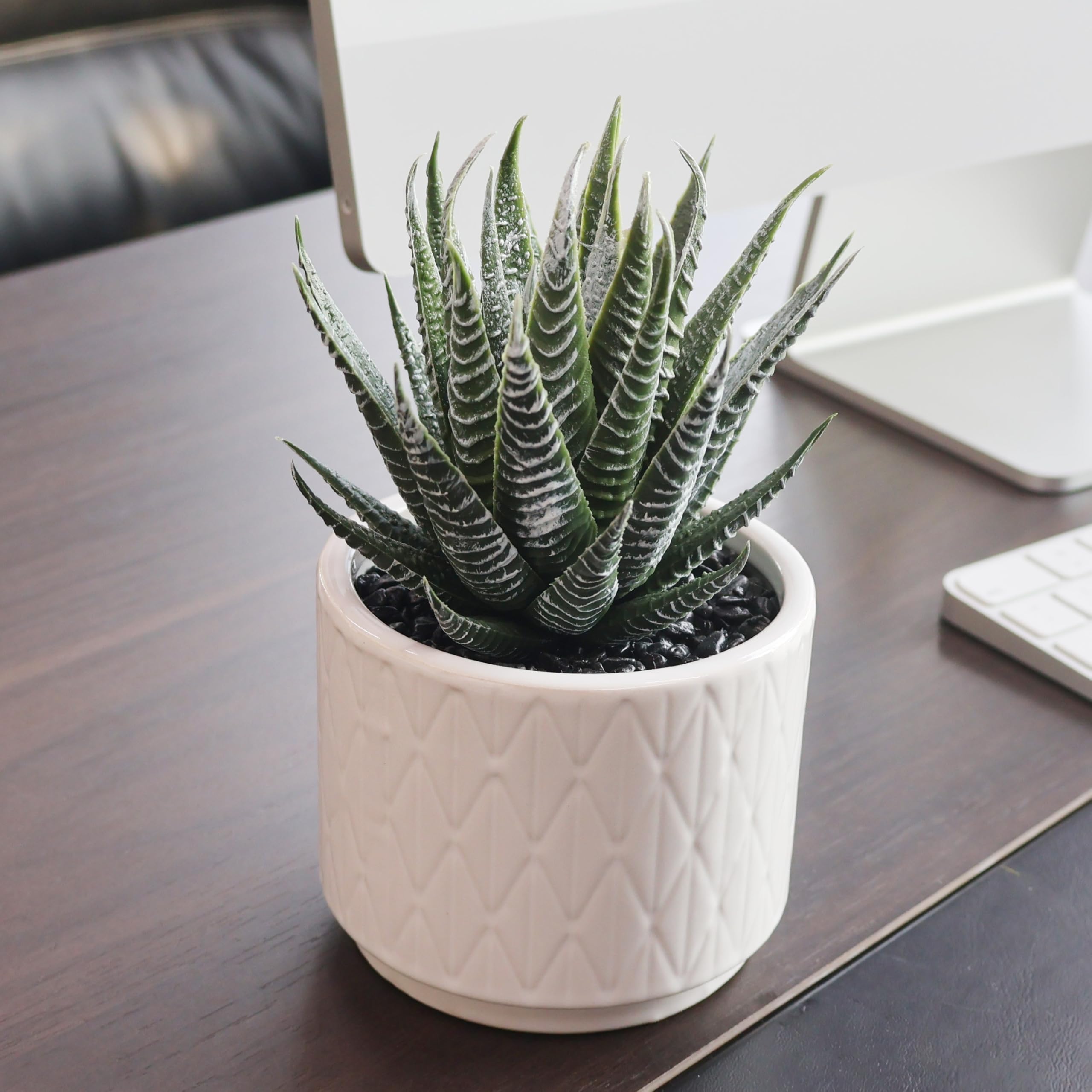 Jahe Artisan Fake Succulent Plants, Small Artificial Plants in White Pots โ image 1