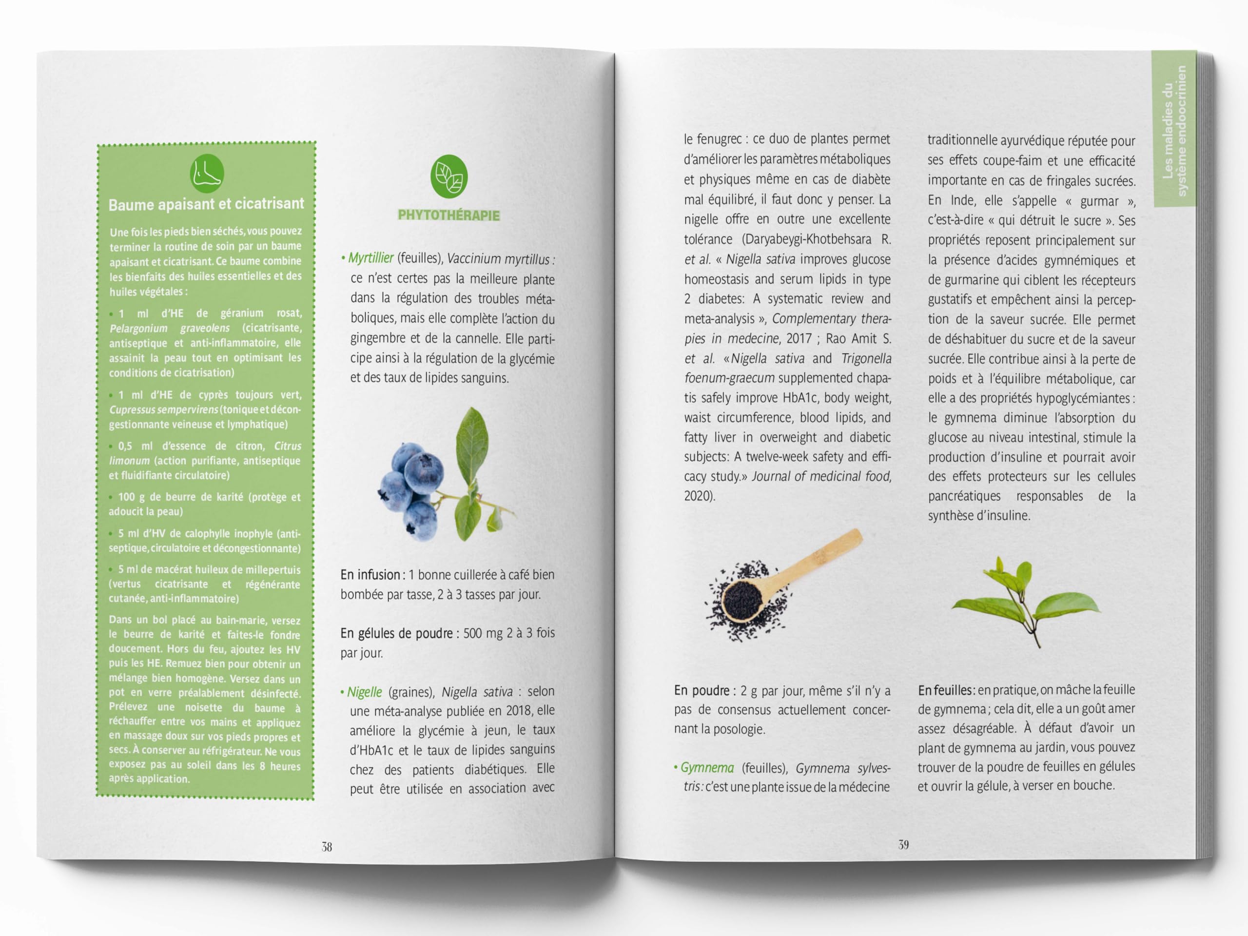 Le guide familial de la santé - Endocrinologie Gynécologie Neurologie Ophtalmologie Ostéoarticulaire Urologie - Tome 2: Tous les conseils issus des médecines complémentaires pour vous accompagner