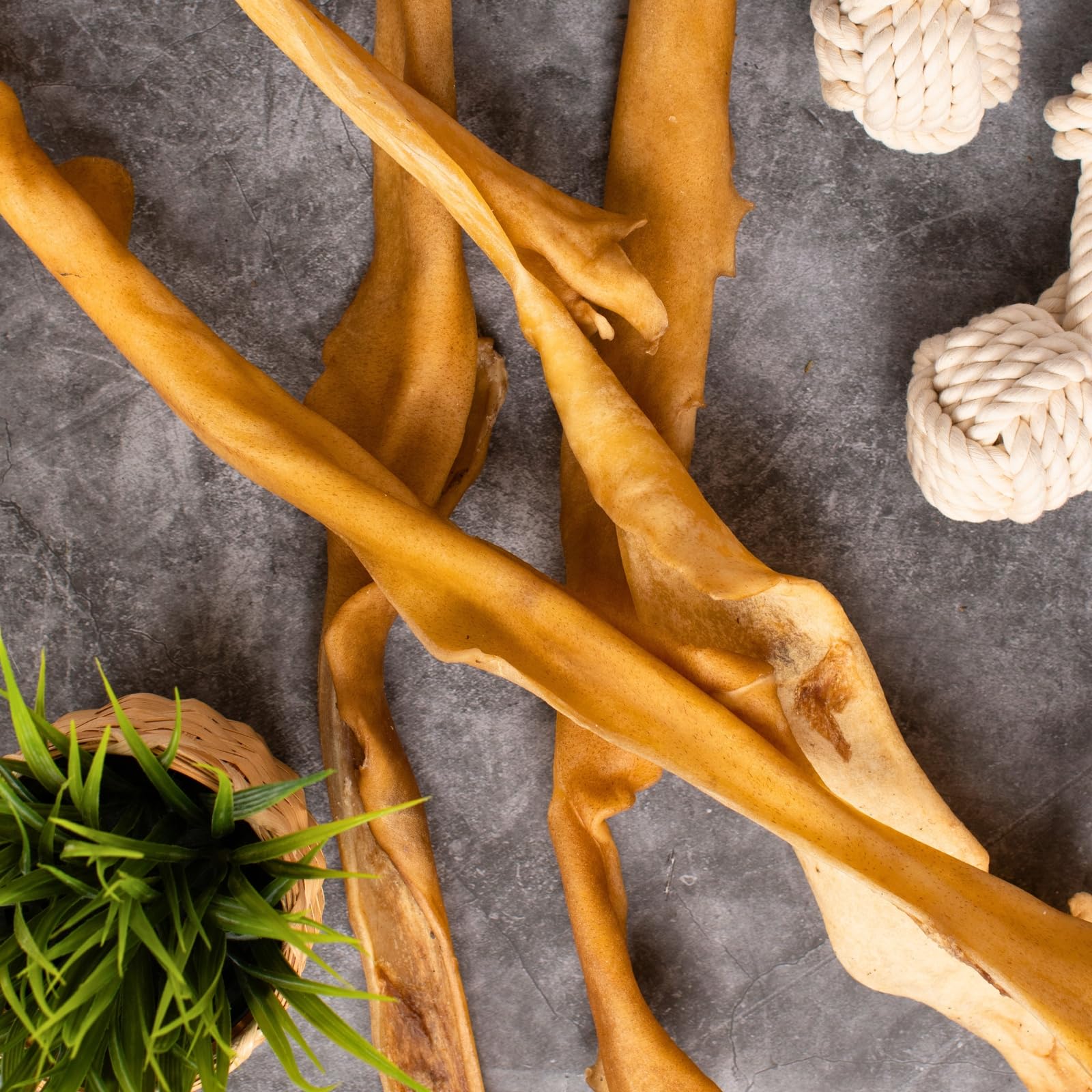 Lyra Pet® 5 x 10 STK. Rinderkopfhautstangen ca. 50 cm Kauartikel für Hunde | Naturbelassener Kauartikel vom Rind - Proteinreiches Leckerli - Extra lange, harte Konsistenz - Fettarm & leicht verdaulich