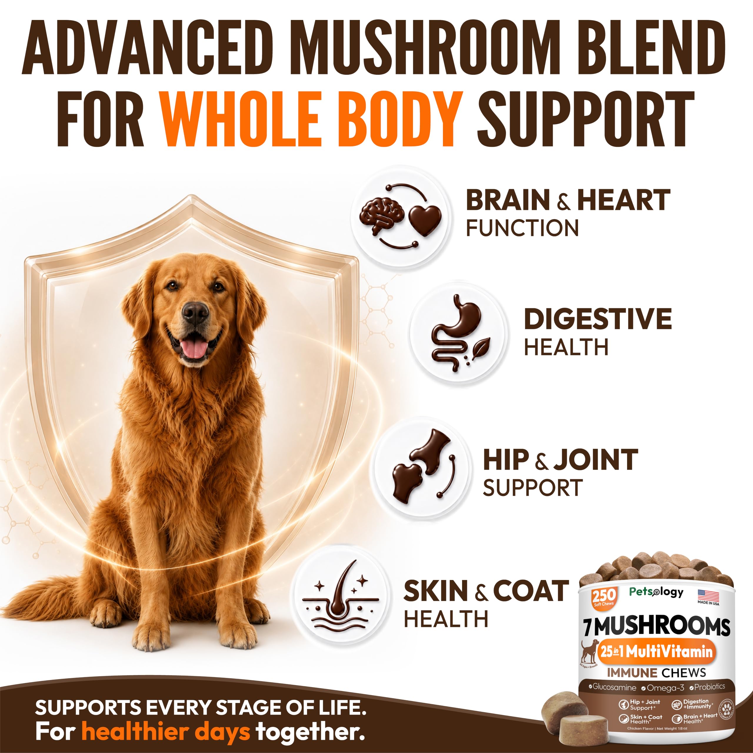 Turkey Tail Mushroom for Dogs - 250 Chews - Lion's Mane, Shiitake & Reishi — Amazon image 7