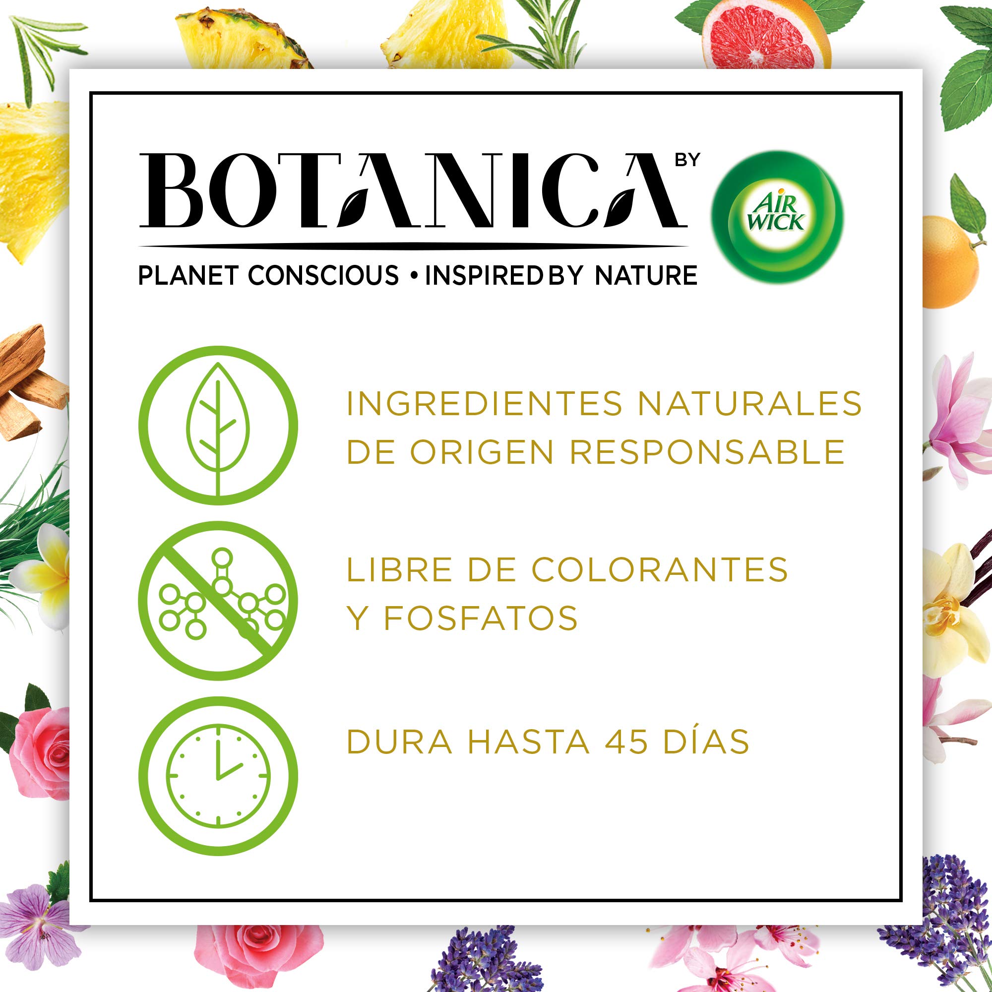 Botanica by Air Wick Varitas Perfumadas - Mikados Ambientador, Esencia Para Casa Con Aroma A Vainilla Y Magnolia Del Himalaya, Naturaleza, 80 ml (Paquete de 4)