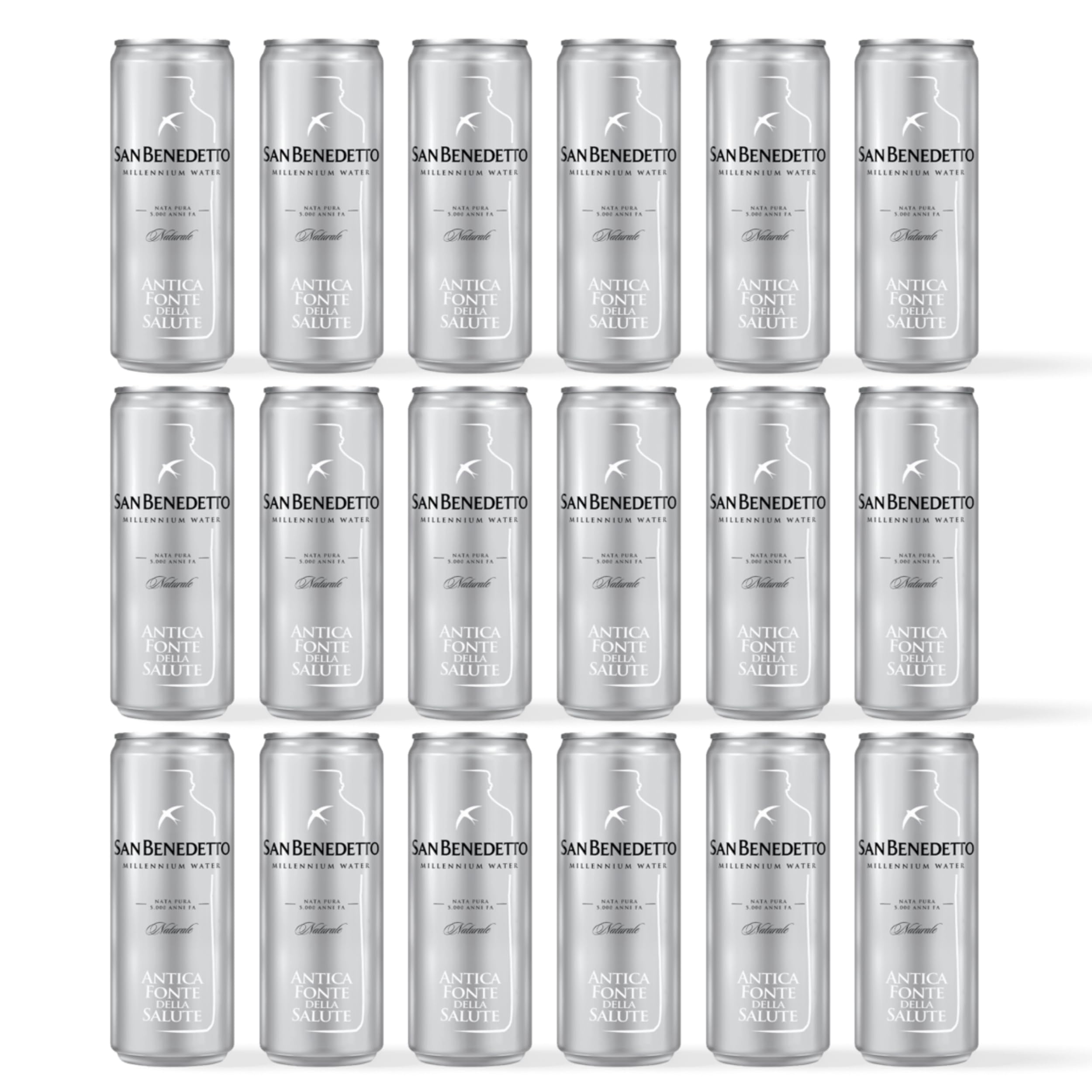 Acqua San Benedetto Minerale Naturale Antica Fonte della Salute | Premium Water | Confezione da 24 Lattine da 330ml