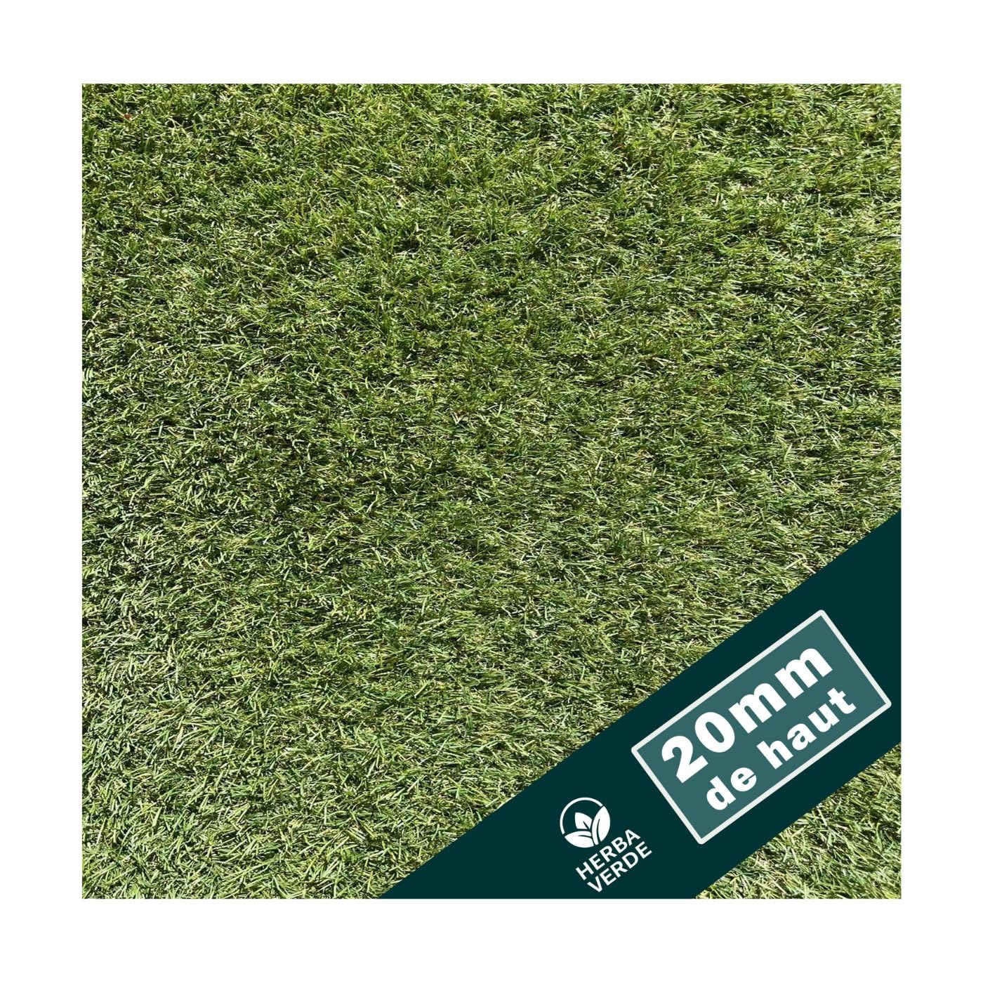 Gazon synthétique Herba Verde 20mm revêtement résistant et esthétique 1x5m