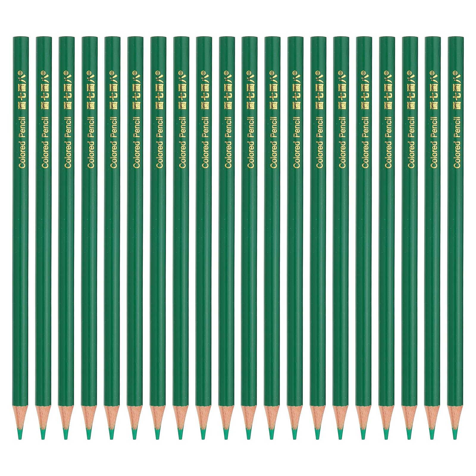 PATIKIL Green Colored Pencils Set,20 Pcs Oil Color Pencils Wooden Coloring Drawing Pencil for Artists Art Painting