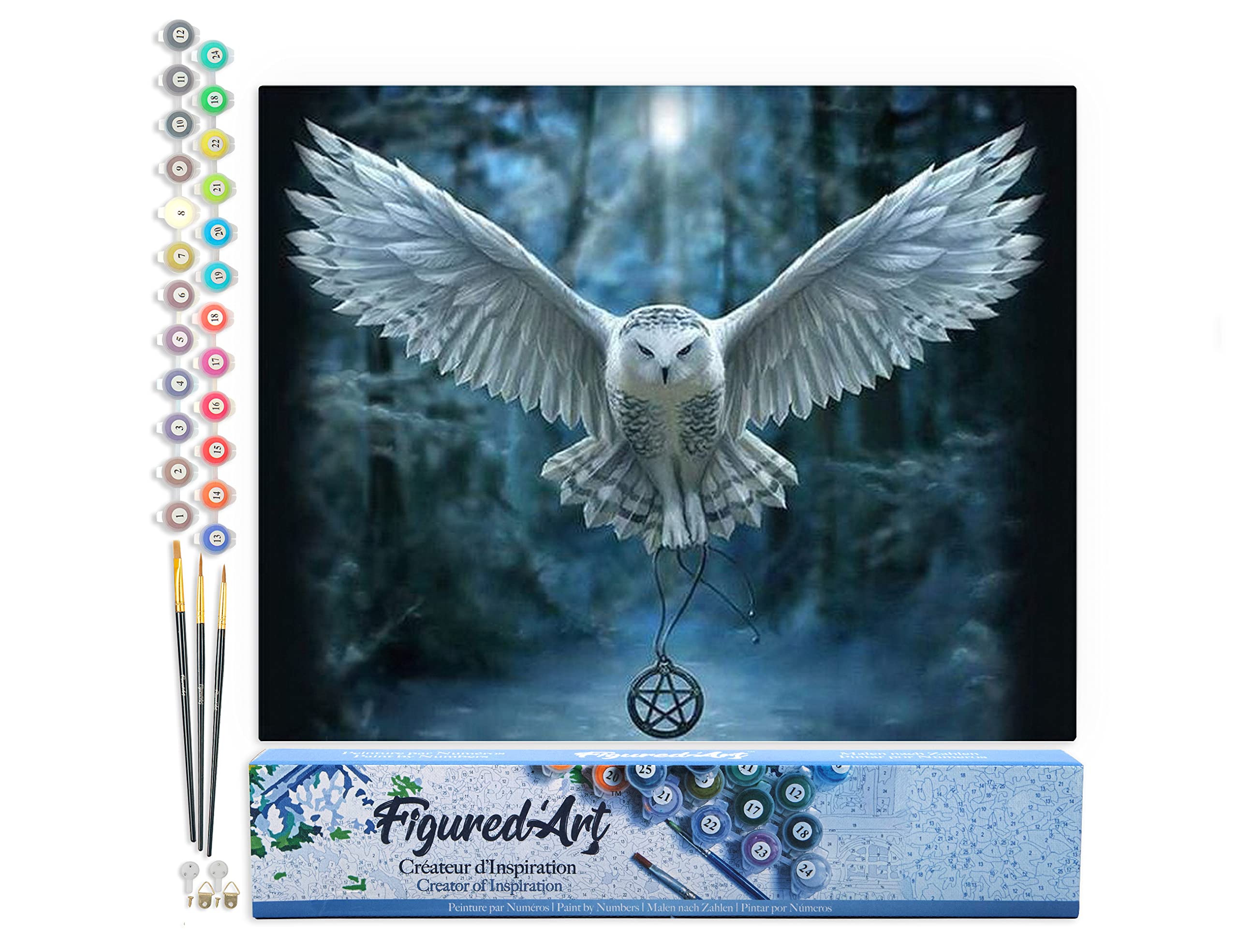 Figured'Art Pintar por Numeros Adultos Búho De Harry Potter - Manualidades pintura acrilica Kit Cuadro DIY completo - 40x50cm sin bastidor
