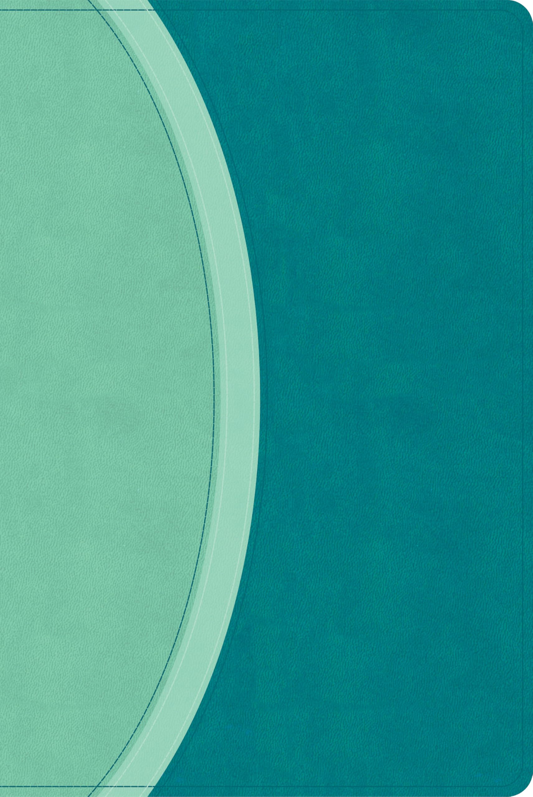 CSB Rainbow Study Bible, Teal LeatherTouch (Limited Edition)