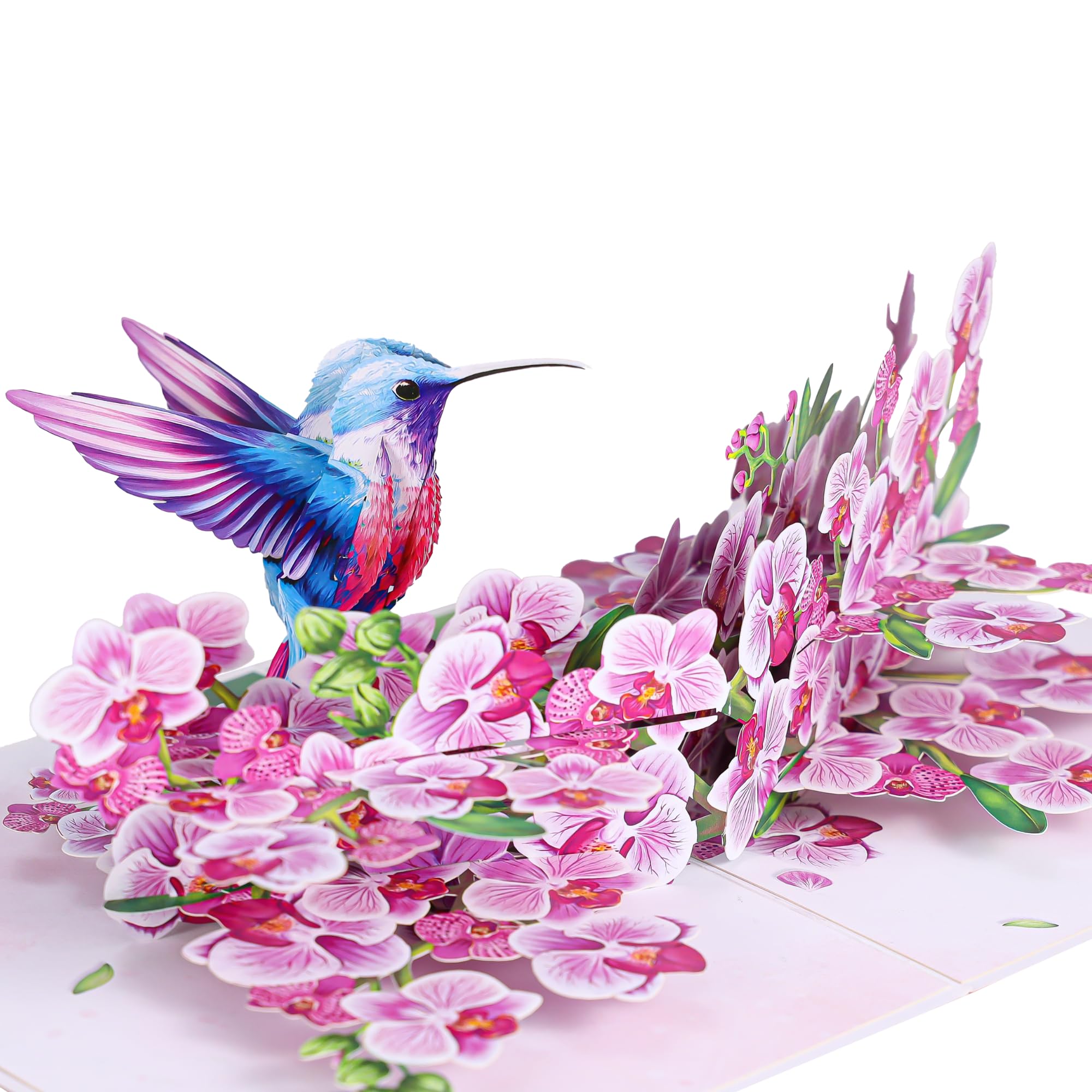Tarjeta desplegable de colibríes y orquídeas moradas, tarjeta de San Valentín 3D, tarjeta de cumpleaños desplegable para mujeres, mamá, tarjeta emergente del día de la madre, pensando en ti, todas las