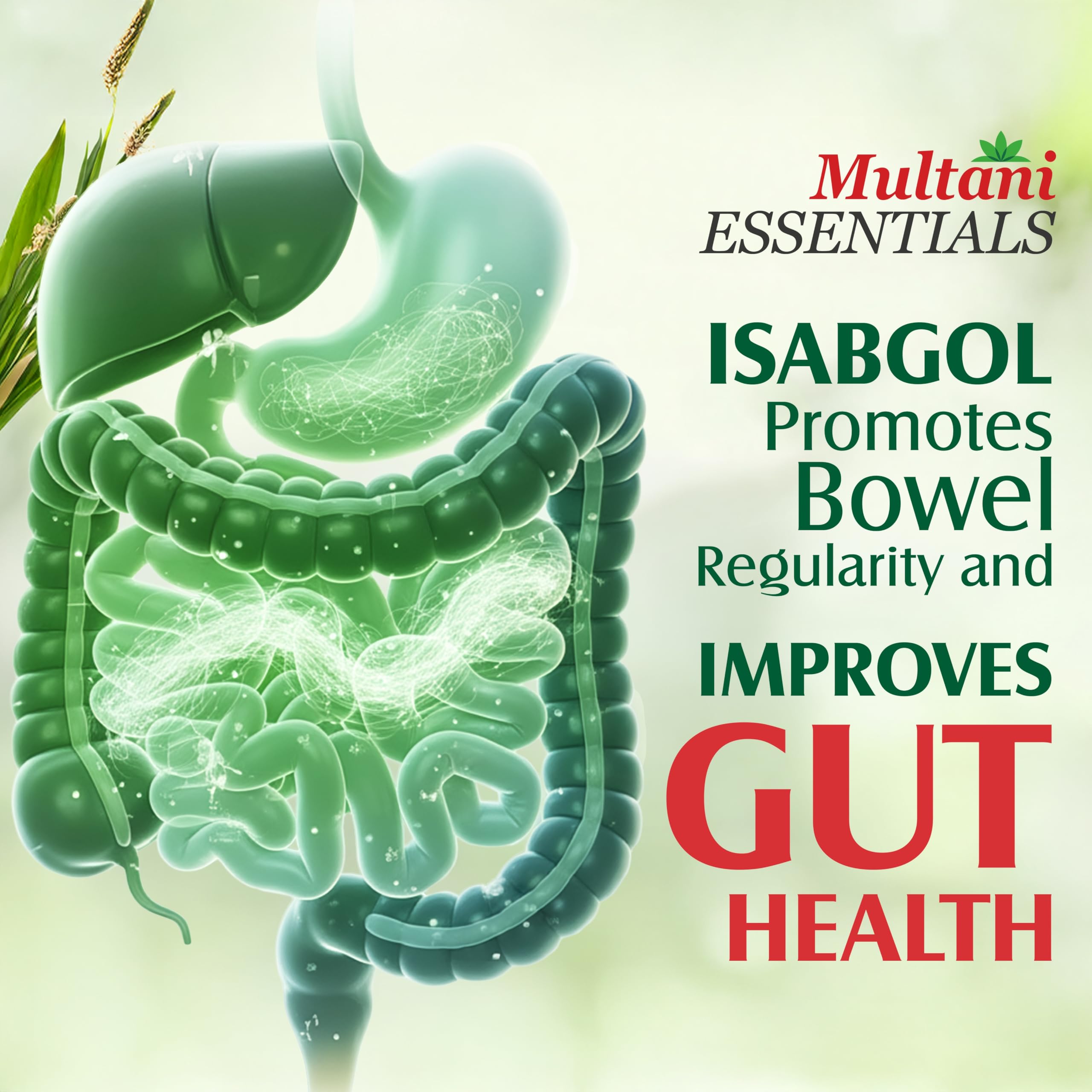 Multani Essentials Isabgol | Psyllium Husk Powder - 100gm | For Gut Health And Irritable Bowel Syndrome | Effectively Relieves Constipation | Fibre Supplement For Digestion | Chemical Free | No Added Sugar Or Artificial Flavour | 100% Isabgol 2