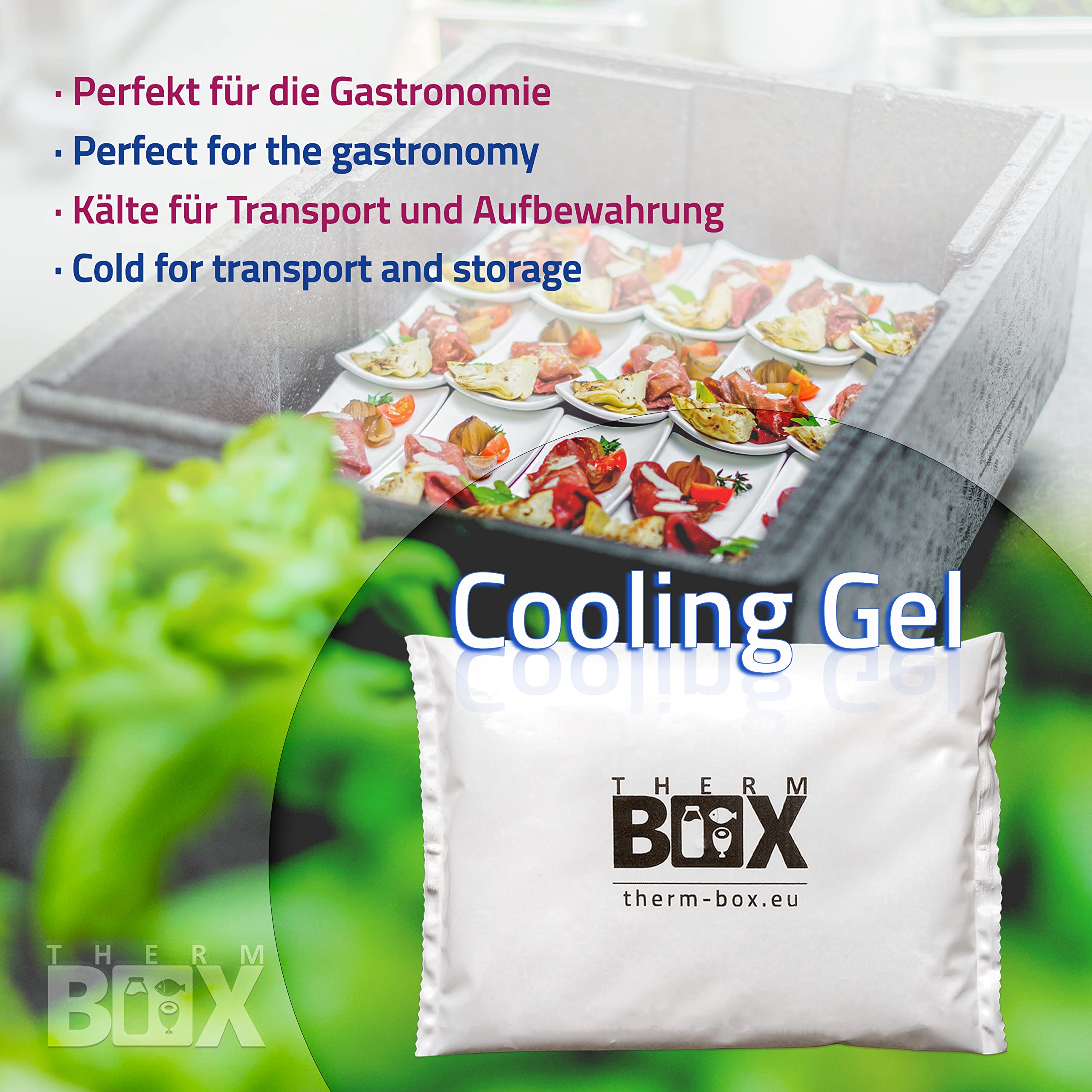 THERM BOX Bolsa de refrigeración profesional para nevera grande, 450 g, reutilizable, bolsa de refrigeración