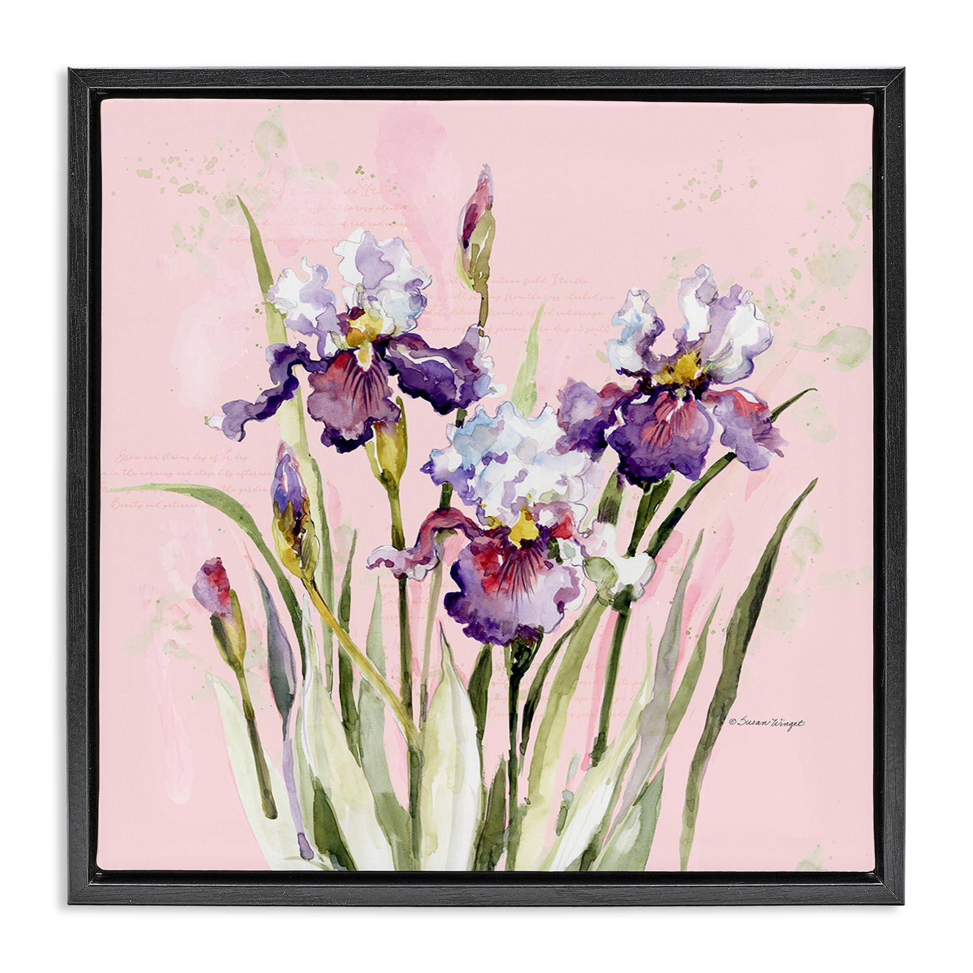 Stupell Industries Jet Black (Matte) Purple Irises Botanical Floral, 24 X 24 Inch Canvas In Floater Frame