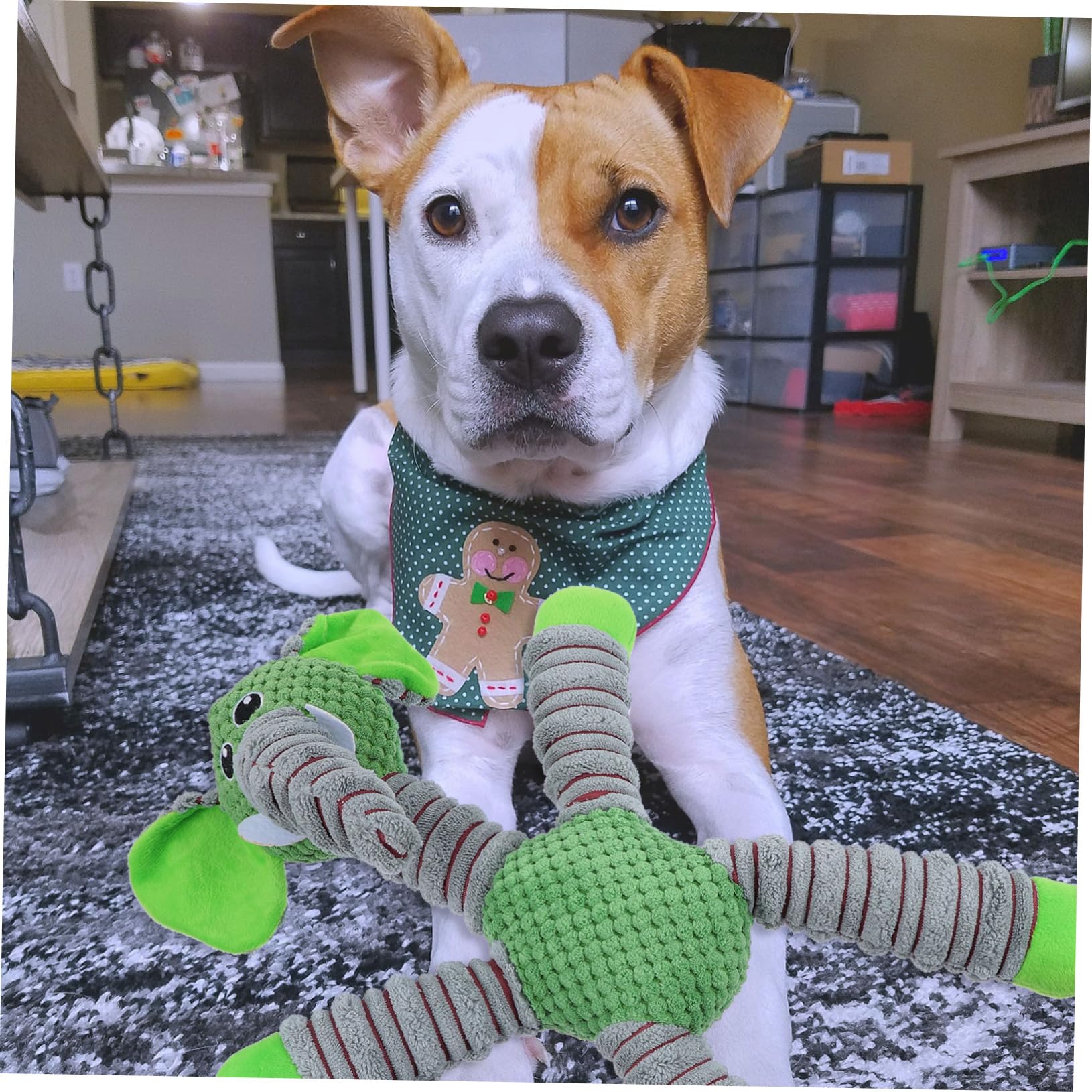 Housoutil 2piezas Juguete para Perros Masticable De Maíz para Cachorros y Perros Pequeños y Medianos Juguete Interactivo Squeaker Ayuda Limpiar Los Dientes y El Aburrimiento