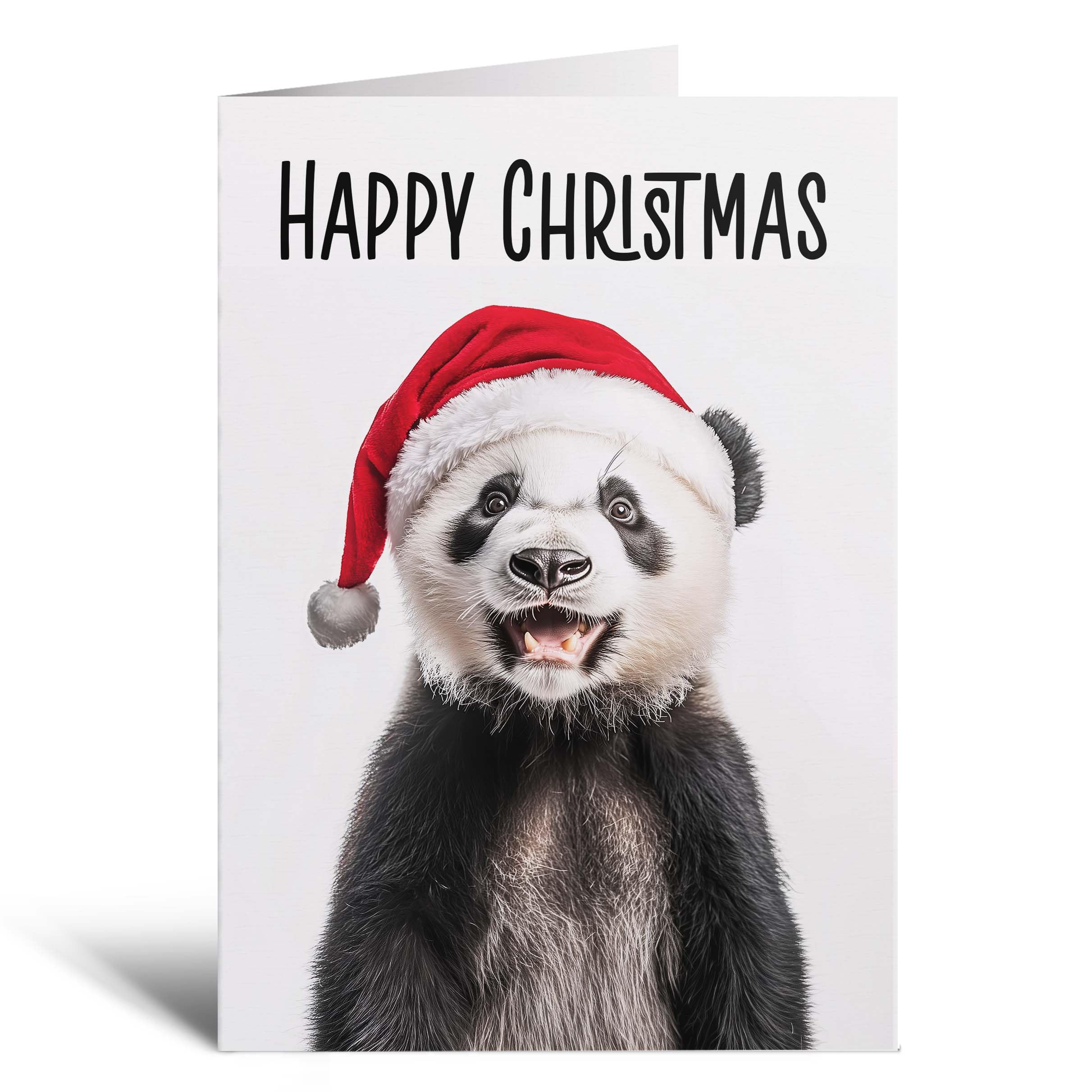 Postcard Prints - Fun Christmas Card of a Lion Wearing A Santa Hat Whimsical Christmas Card For Animal Lover For Him or Her - 2 Cards