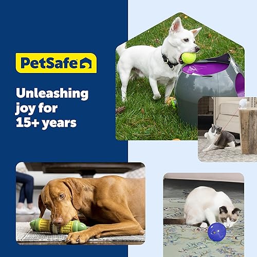 Miniatura 7 de PetSafe - Anillos de piel cruda natural, anillos de juguete para perro, recambios para juguetes de perros pequeños, medianos, grandes y variados