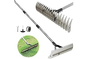 Thatch Rake: Keep Your Lawn Pristine with Effortless Dethatching