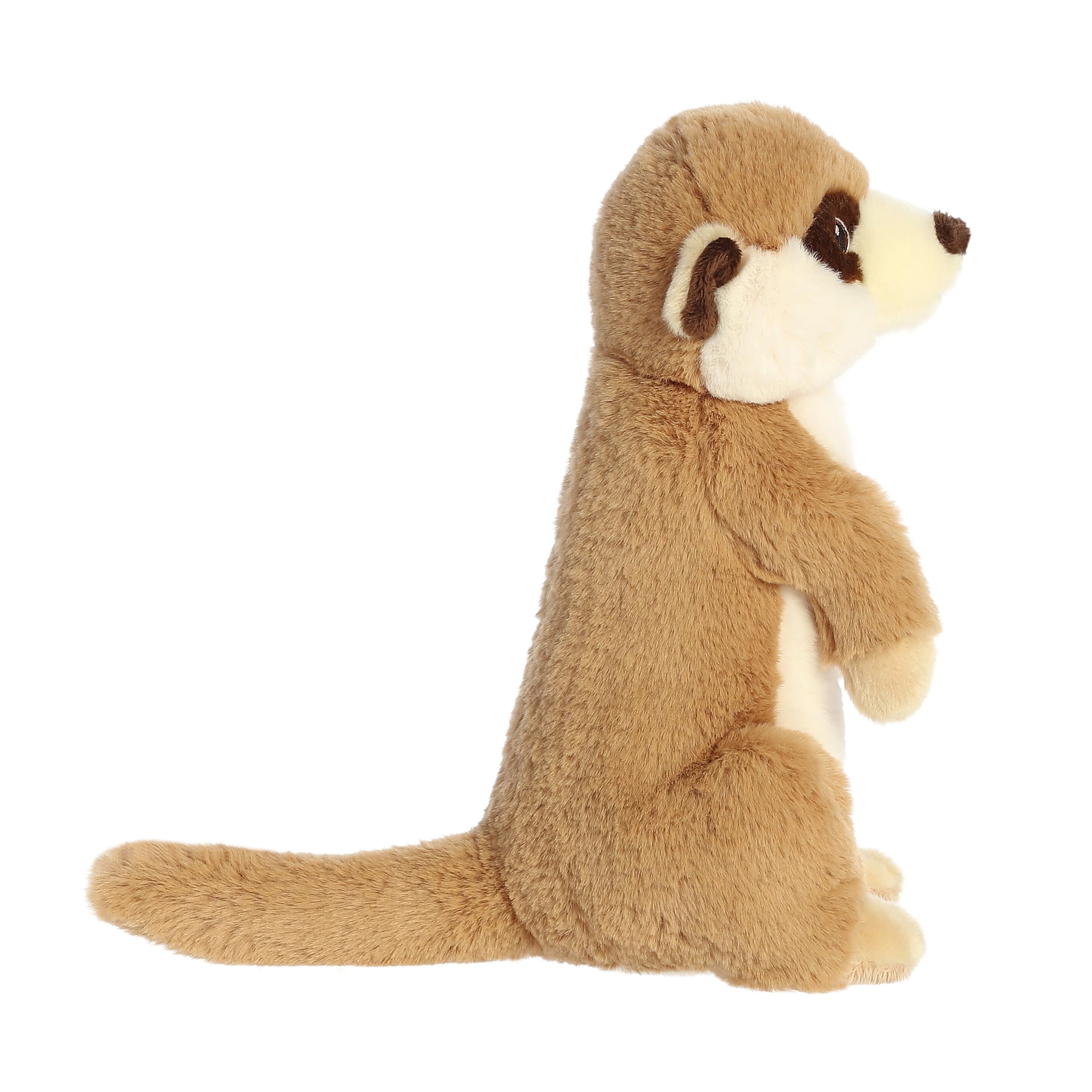 ミーアキャット Amazon.co.jp: オーロラワールド ぬいぐるみ エコネーション ミーア