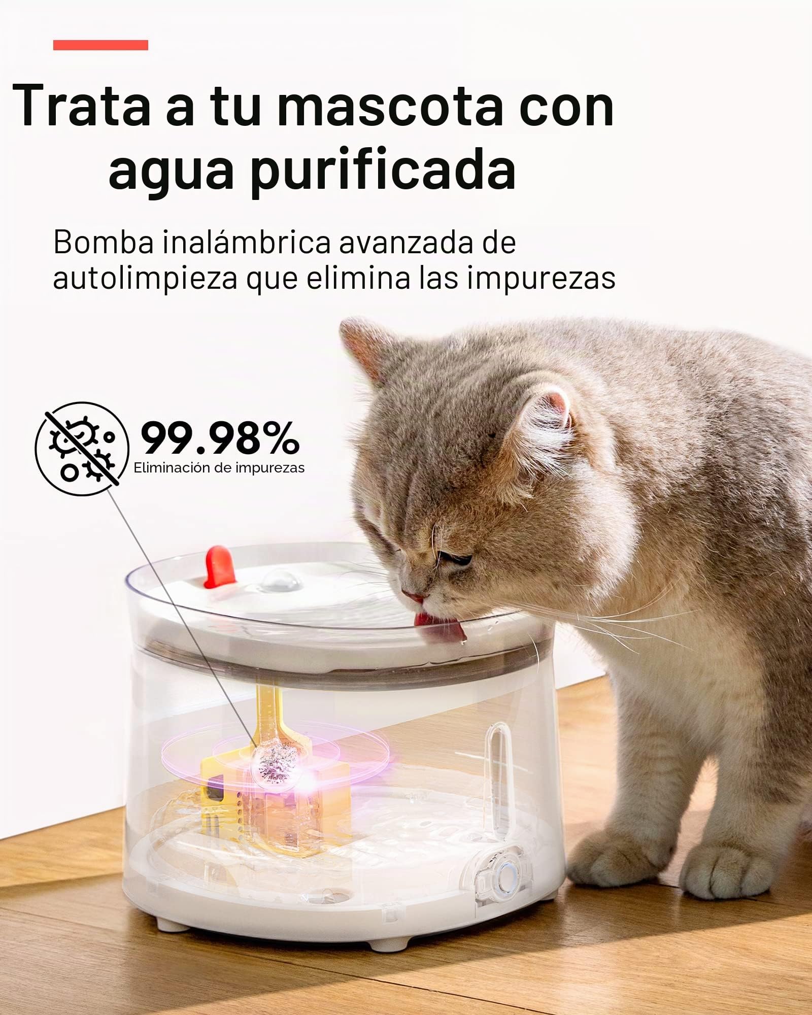 Homerunpet Fuente de Agua para Gatos y Perros con Bandeja de Porcelana y Bomba Autolimpiante Inalámbrica, Ultra Silenciosa, Fácil de Limpiar y Montar, Luz LED Inteligente, 2L