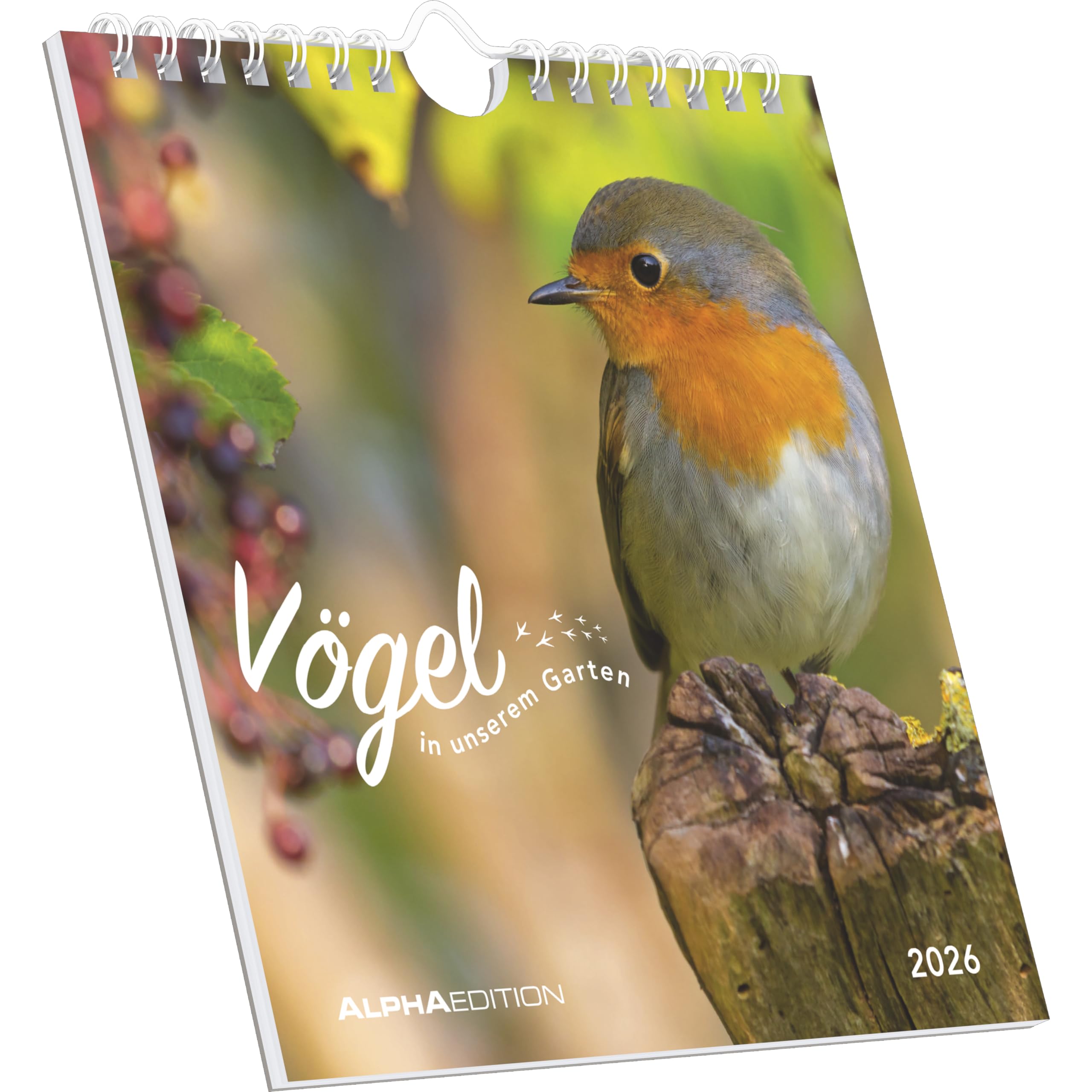 Alpha Edition - Vögel in unserem Garten 2026 – Postkartenkalender 16×17 cm mit 53 heimischen Vogelmotiven, dekorativer Tisch- & Wandkalender zum Verschicken, Sammeln & Verschenken