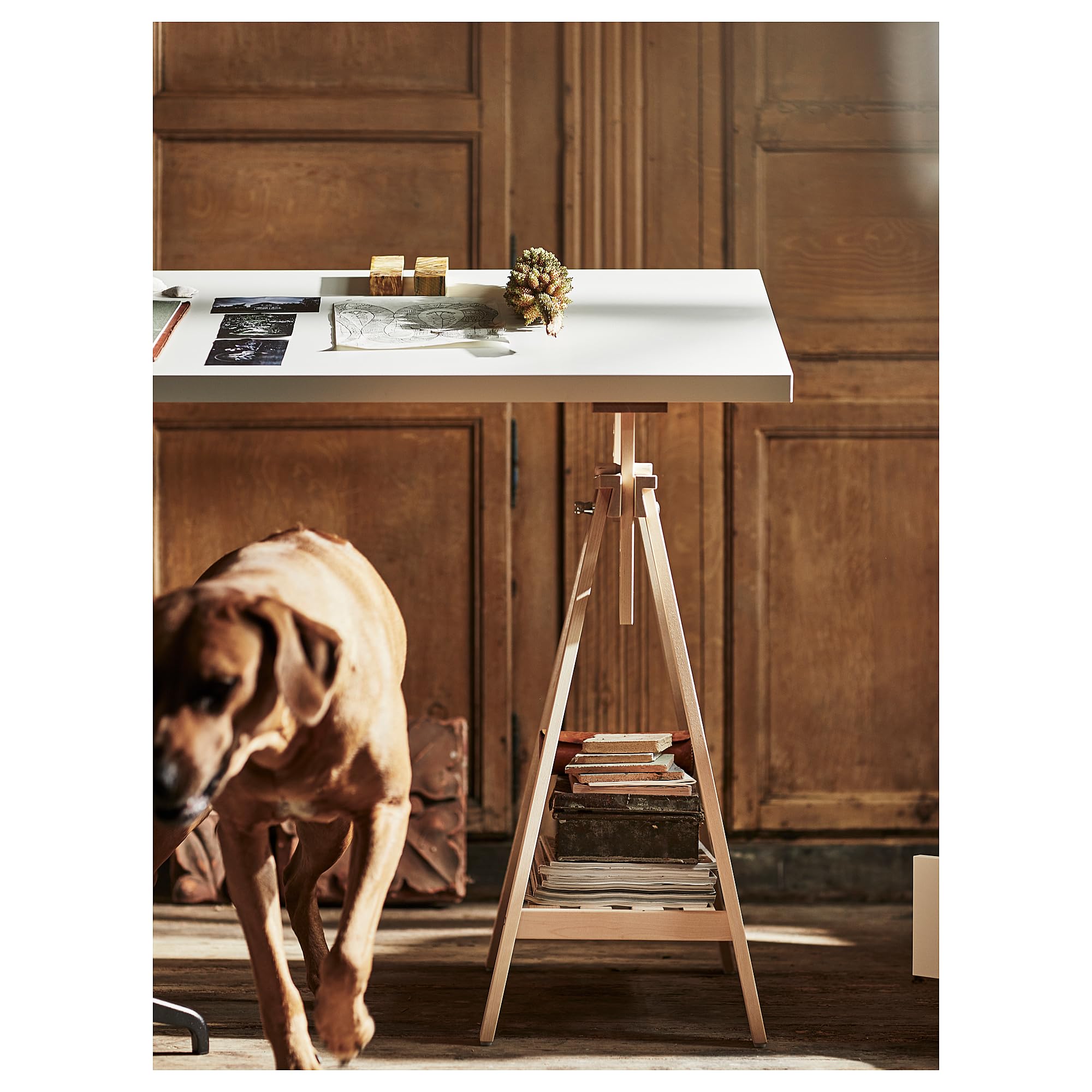 IKEA LAGKAPTEN Plateau de table, 120 x 60 cm, Blanc