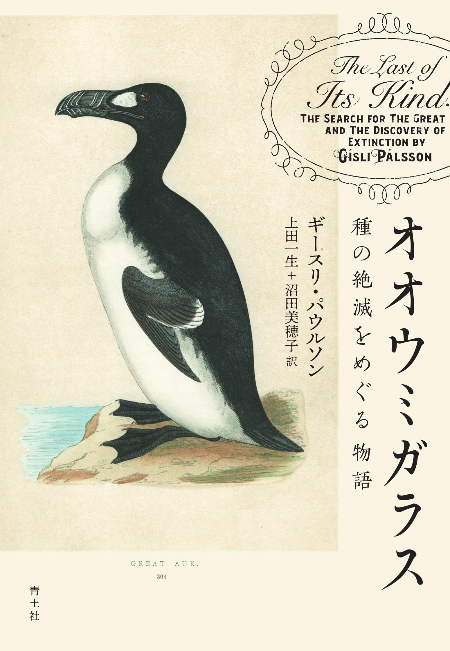 ORINOCO PARIMA 洋書 ベネズエラ先住民族 アート 【絶版】 81nbyiMz6aL.jpg