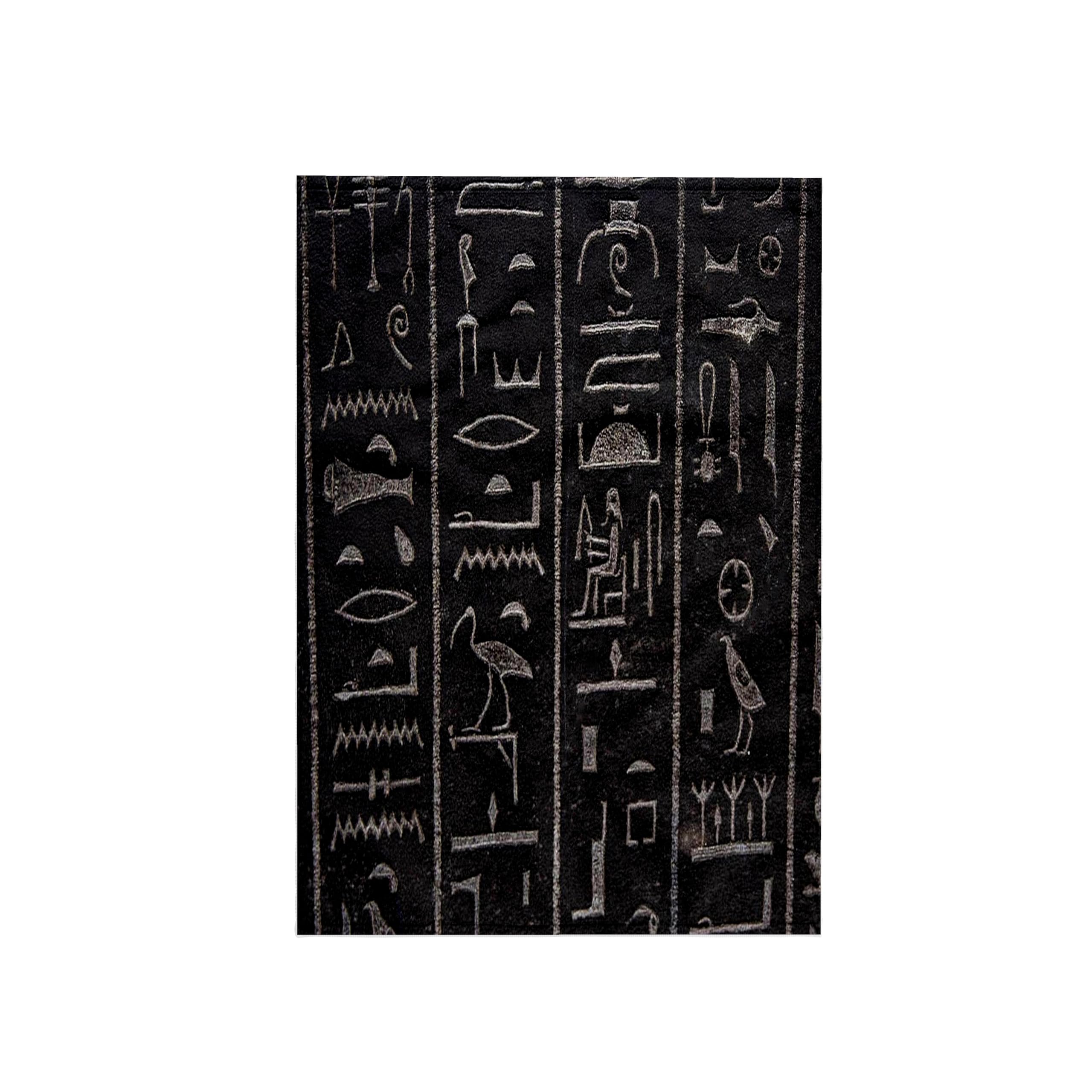 3dRose - Print of Real Egyptian Vintage Hieroglyphs - Towel - (twl-204372-1)