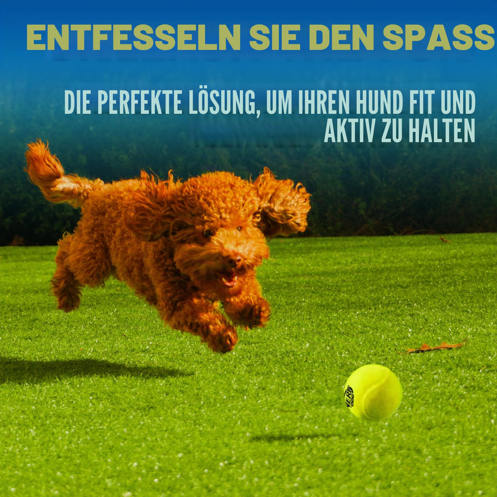 Nerf Dog Tennisball Blaster Hundespielzeug Geschenkset, Tennisball Hund Apportierspielzeug startet bis zu 50 Fuß, Hundeballwerfer für alle Rassen, inklusive durchscheinendem blauem Tennisballwerfer
