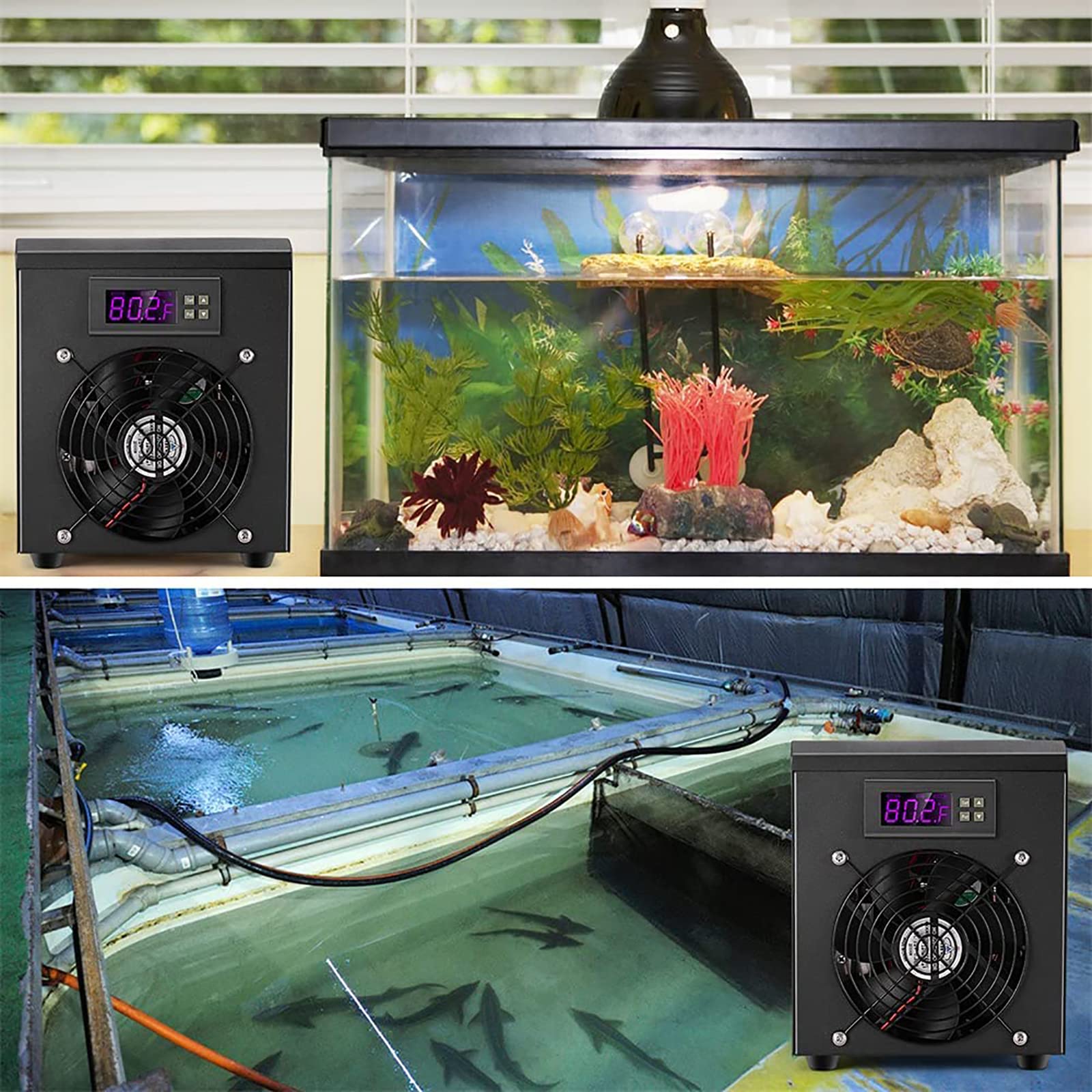 Calentador de Tanque de Peces, Enfriador de Agua de Acuario, se Puede Ajustar de 10 a 40 Grados centígrados, Compatible con la función de Temperatura Constante automática, para peq