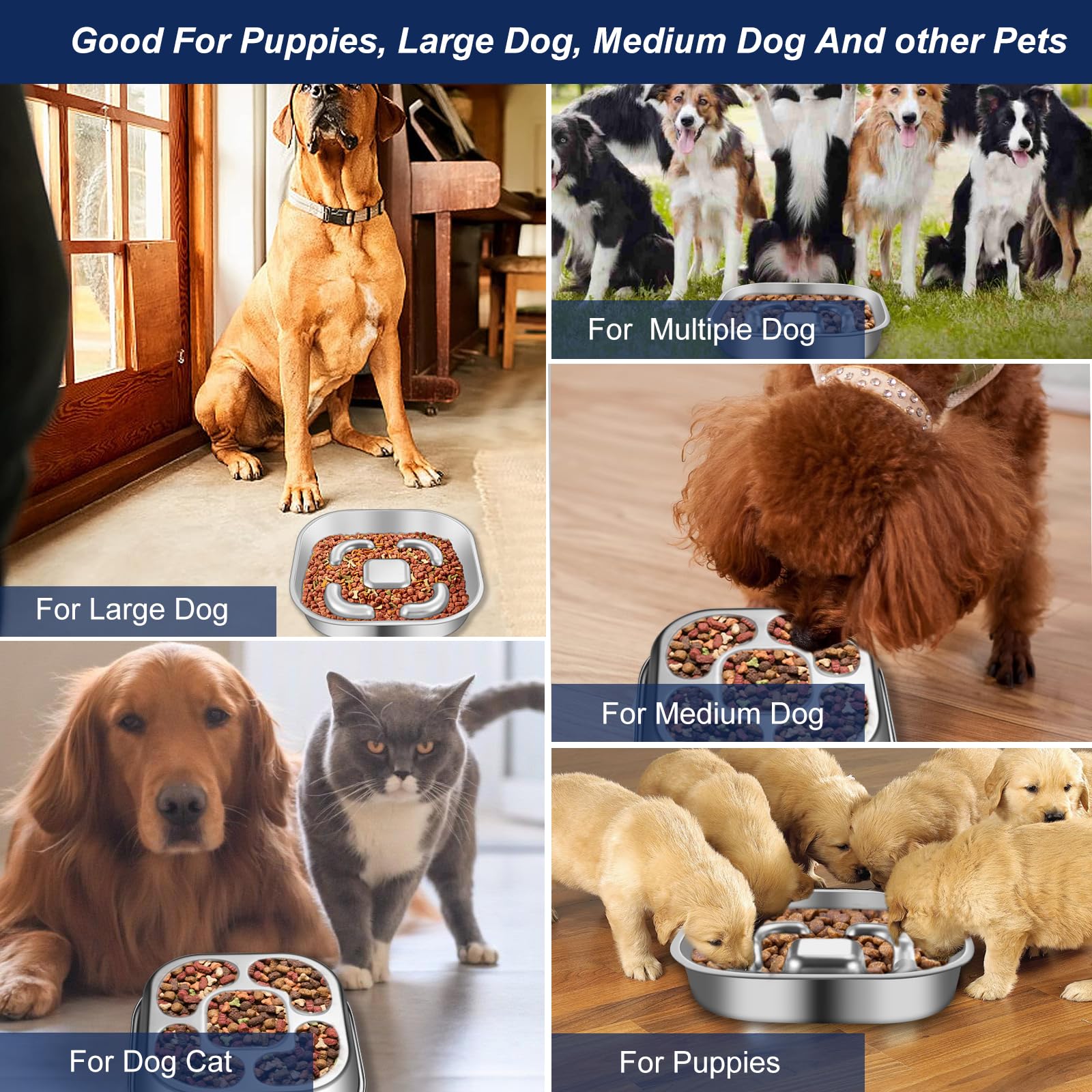 AIPERRO Slow Feeder Honden bak van roestvrij staal, 2 kopjes metalen antislip kommen, waterbak voor kleine en middelgrote honden, voerbak voor snelle eters, vertraagt het eten van huisdieren
