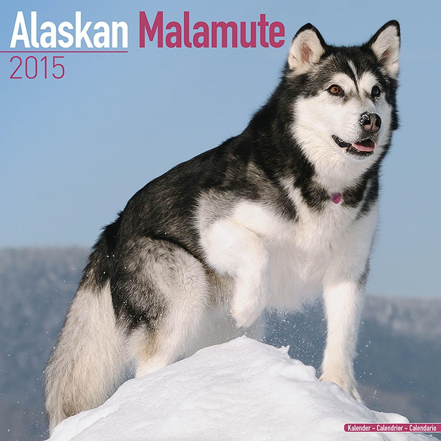 Alaskan Malamute Calendar - Just Alaskan Malamutes Calendar - 2015 Wall calendars - Dog Calendars - Monthly Wall Calendar by Avonside Calendar – July 1, 2014