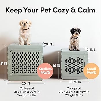 DingDing 旺 PET クリア Medium PAWD divider | KindTail