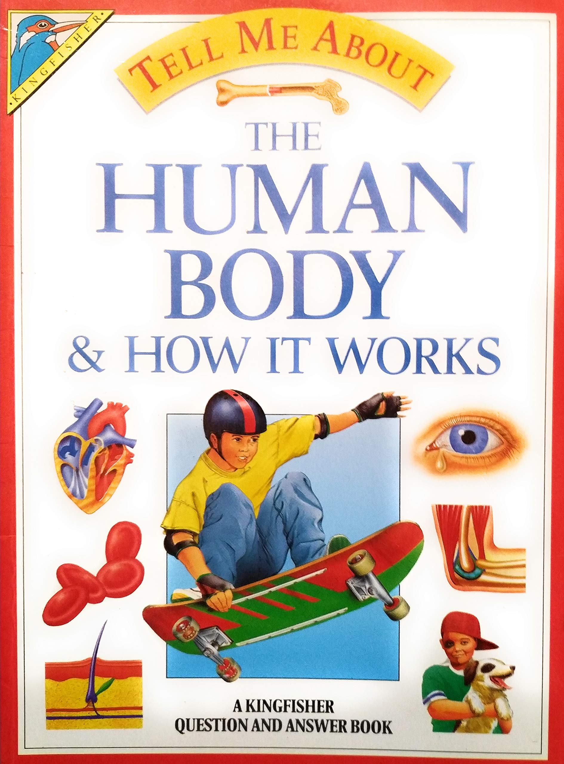 Human Body and How it Works (Tell Me About S.)