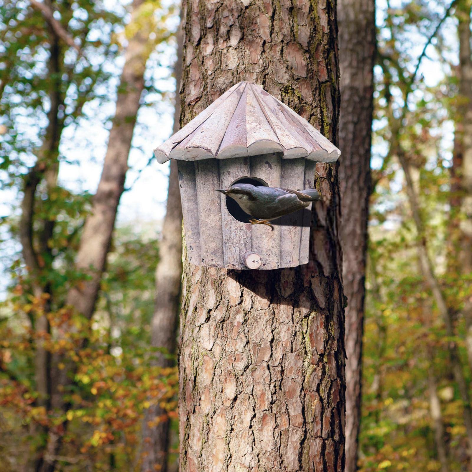 Decorazione a di colibrì | Innovativa casa di colibrì | Decorazione per casetta per uccelli, casette per uccelli ecologiche, baia per uccelli per abitanti di albero appeso all'esterno