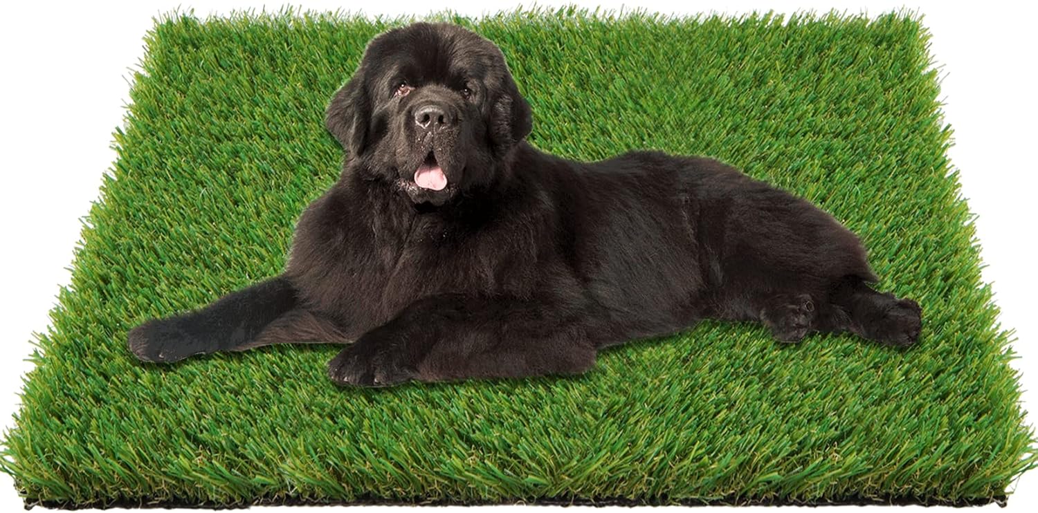 Artificial Grass Dog Mats 100X80cm Professional Fake Grass Pee Pads