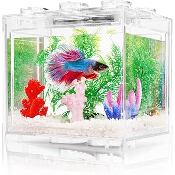 Betta Fish Aquarium Small Complete Set 1 L Aquarium Set Complete with LED Lighting White Gravel Artificial Corals and Aquatic Plants