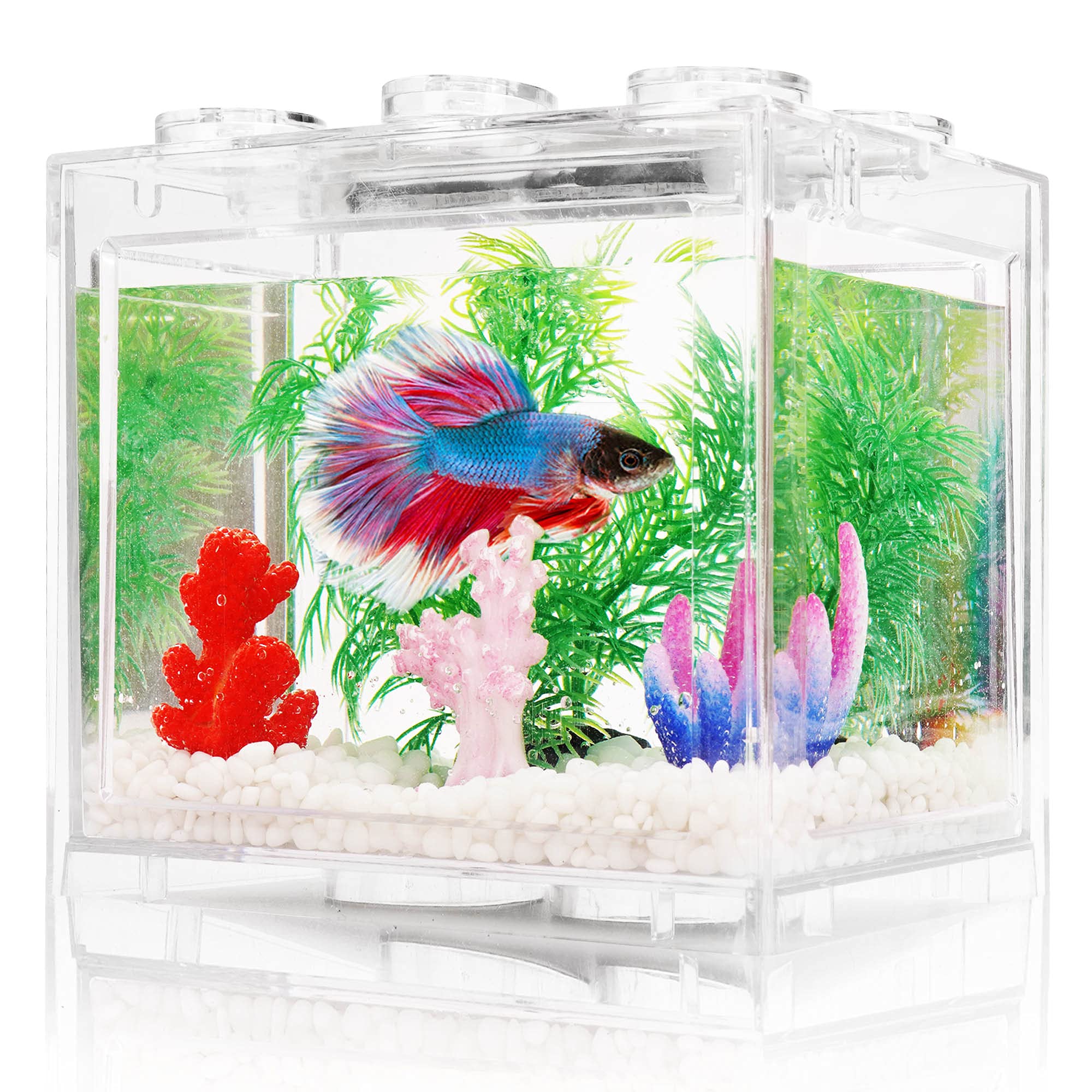 Mini Aquarium Betta Transparent - Kit Complet 1,9 L pour Poissons et Décoration