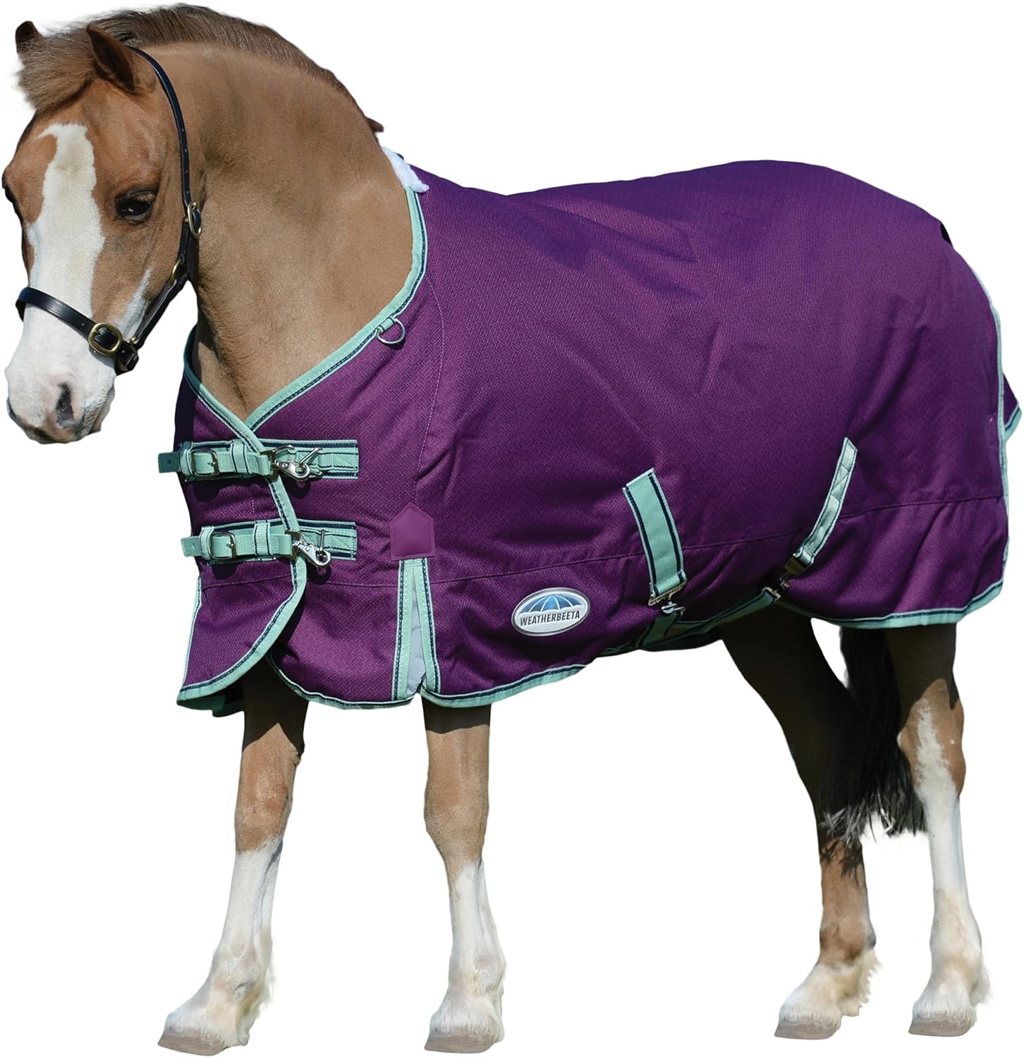 WeatherBeeta ComFiTec Premier Freedom Pony Standard Neck Lite, Purple/Navy/Mint, 57″