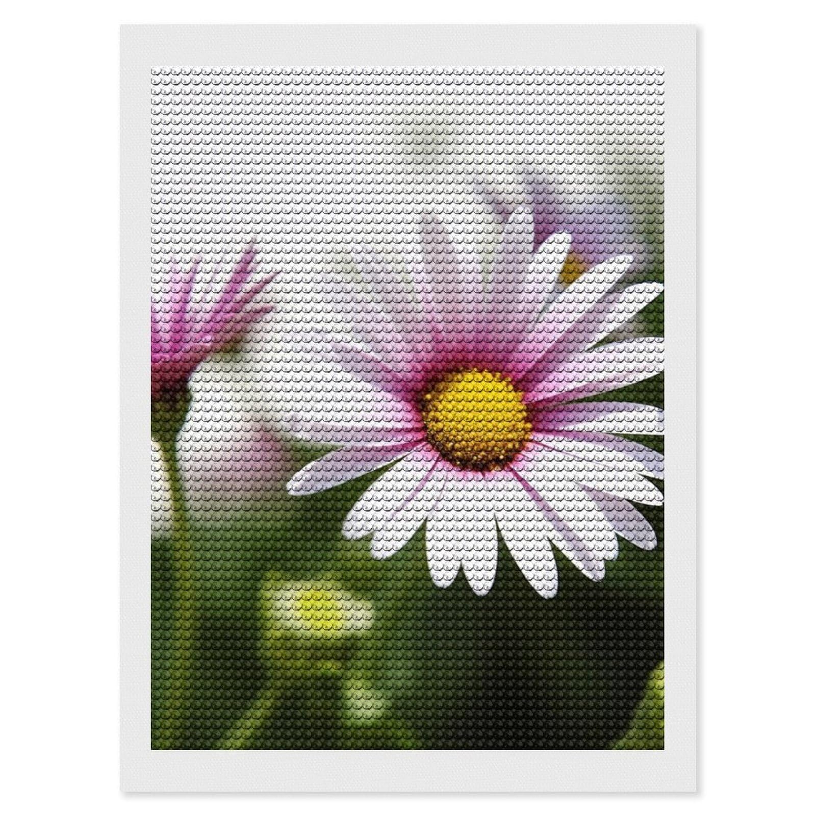Daisy Flower Diamond Art Kits for Adults, DIY 5D Diamonds Painting Kits for Beginner, Round Full Drill Diamond Dots Painting, Diamonds Pictures Gem Art and Crafts Wall Decor 12"x16"