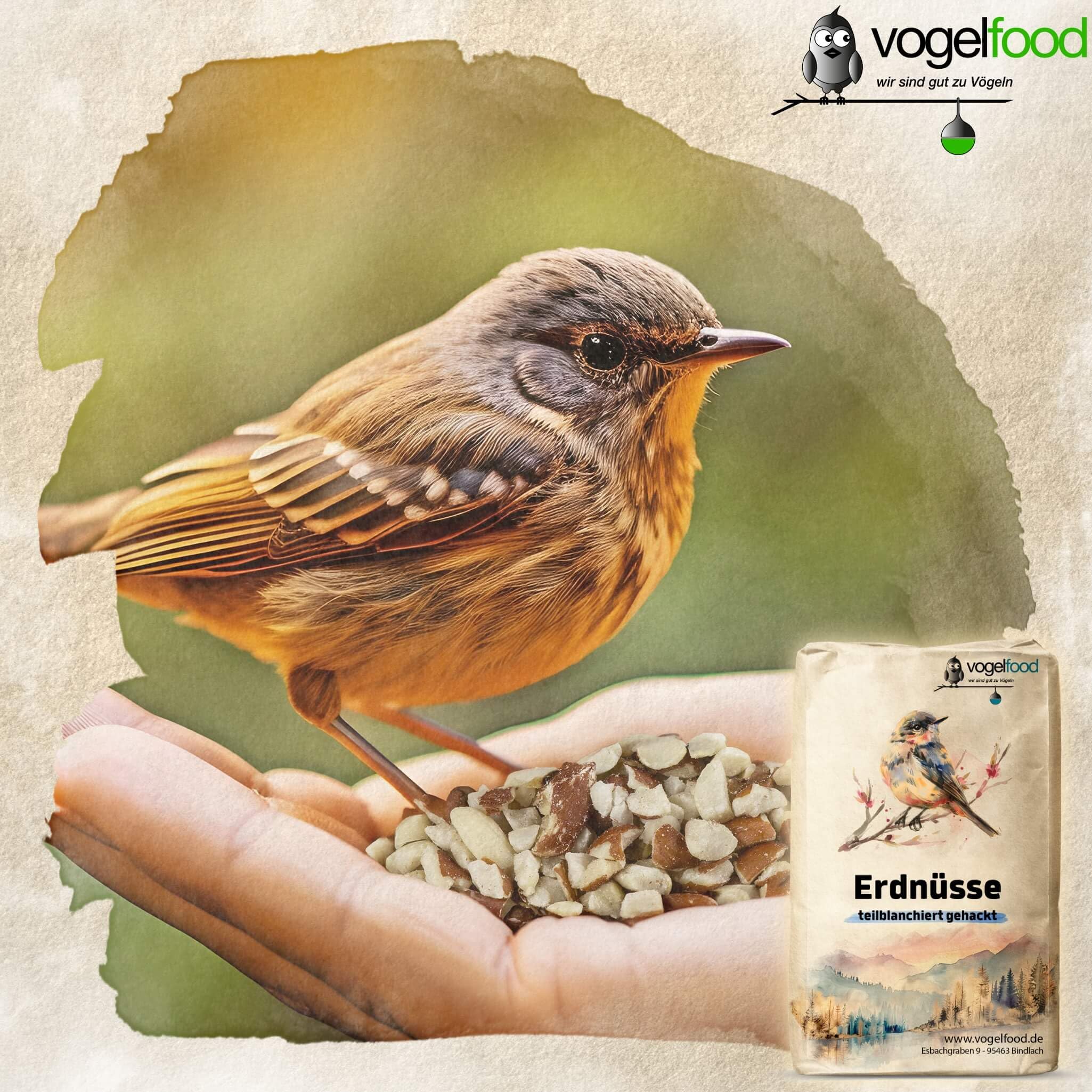 Vogelfood Erdnüsse teilblanchiert gehackt 25 kg geviertelt Vogelfutter Igelfutter