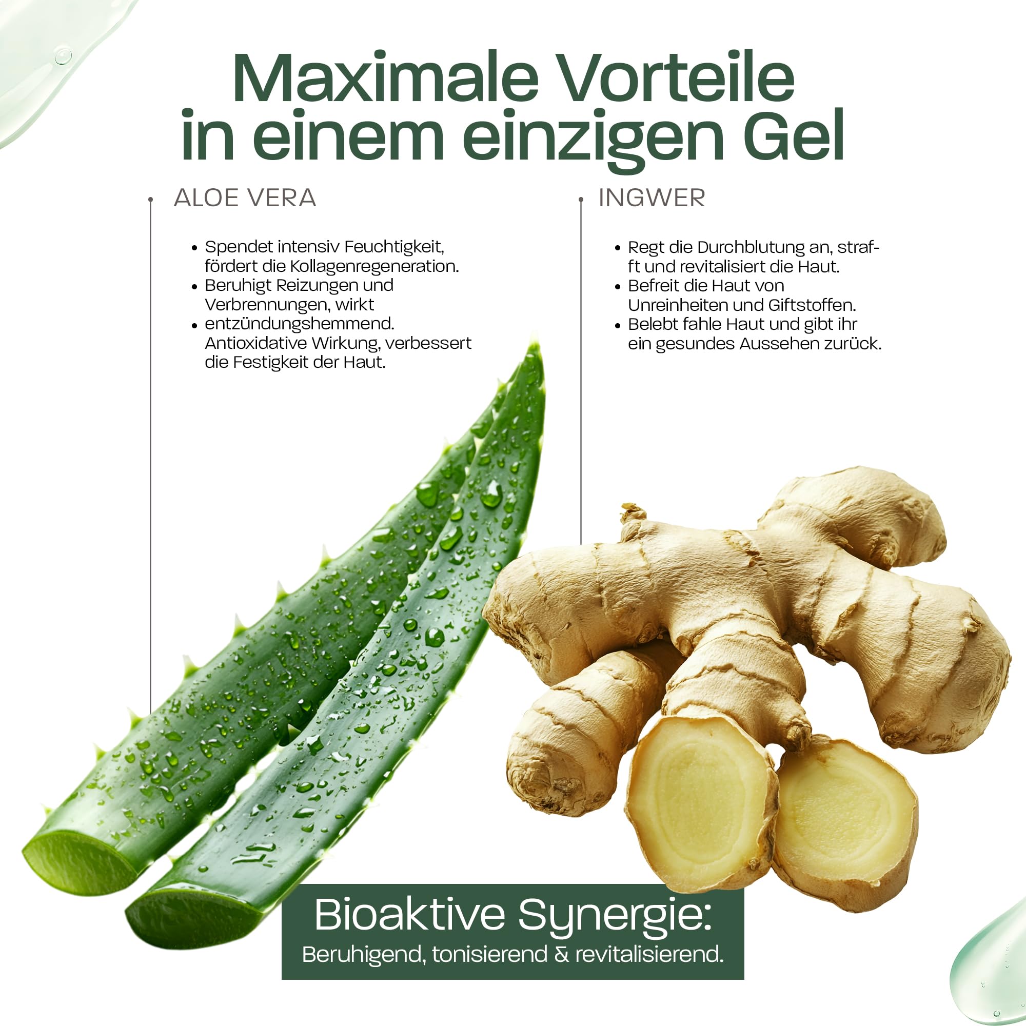 Aloe Vera & Ingwer Gel – Feuchtigkeitsspendend, Straffend & Erfrischend – Mit Frischblatt-Aloe aus biologischem Anbau in Spanien – Für Gesicht, Körper & Haare – After-Sun, Beine, Rasur (5000 ml)