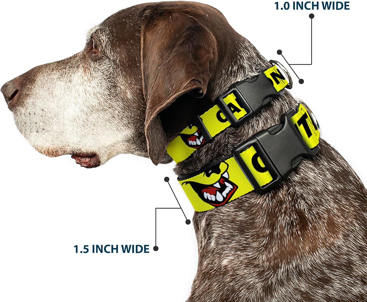 Buckle-Down Dog Collar Plastic Clip Pet Quote Caution I Bite with Dog Growl Yellow Black 16 to 23 Inches 1.5 Inch Wide