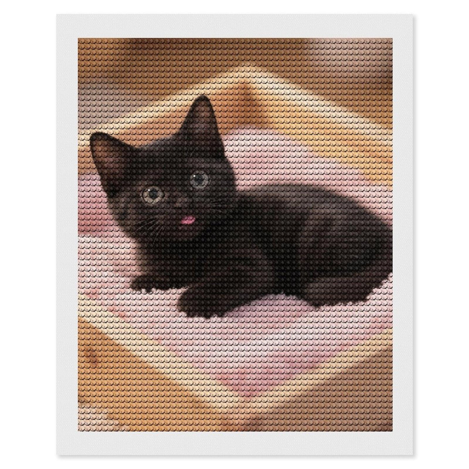 DWVTSLH Cute Black Cat Diamond Painting Kits for Adults, Personalized Diamond Photo Art Full Drill, DIY 5D Diamond Art Painting Kits for Beginners, Home Wall Decor 16"x20"