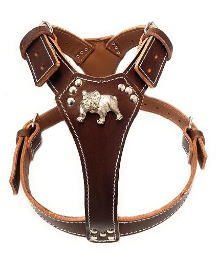 Hermoso arnés de cuero marrón para perro con diseño de cabeza de bulldog inglés (accesorios de latón)