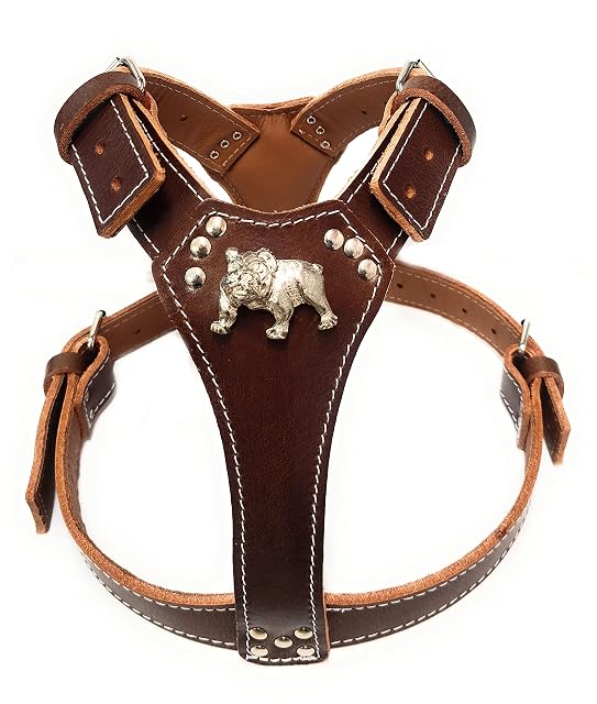 Hermoso arnés de cuero marrón para perro con diseño de cabeza de bulldog inglés (accesorios de latón)