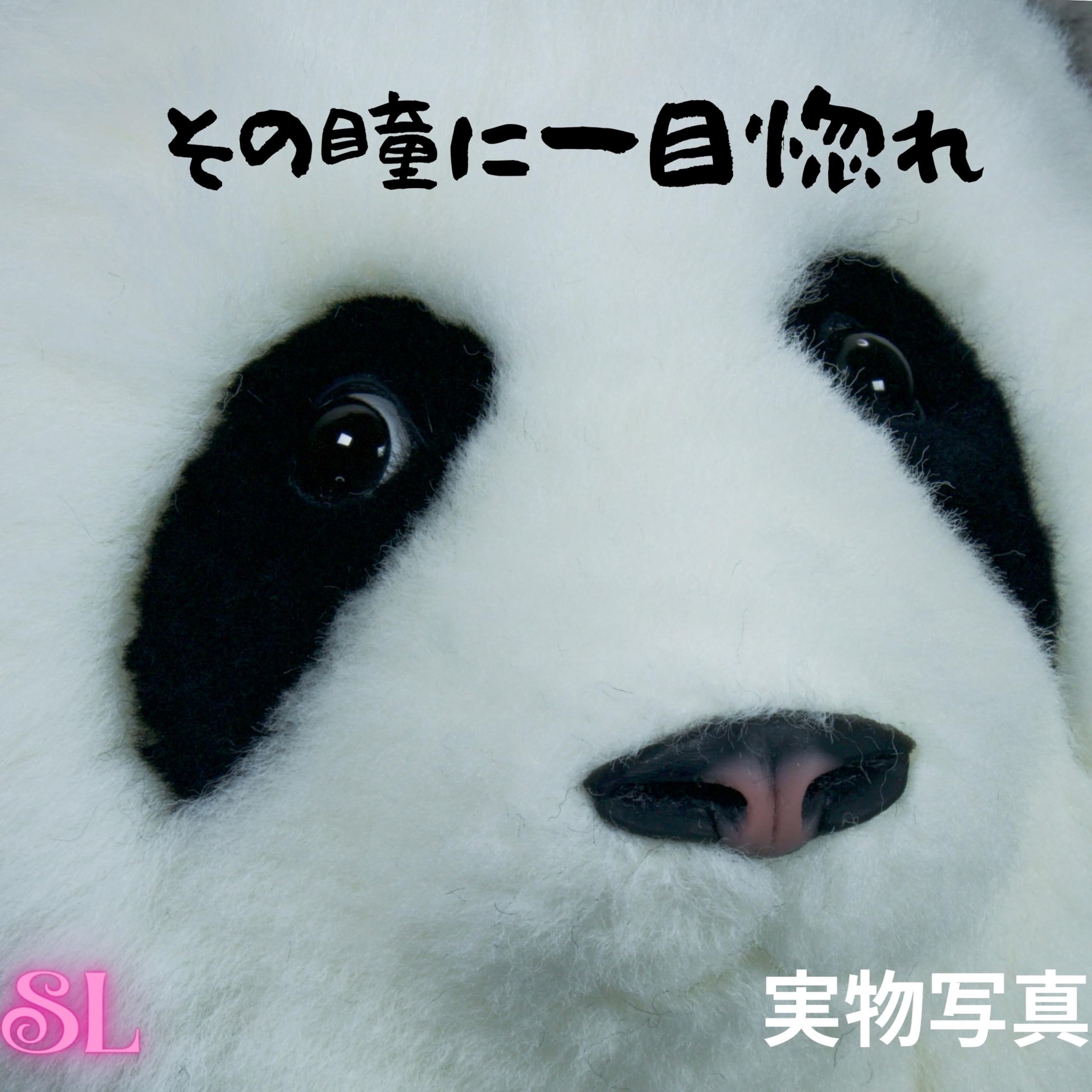 Amazon.co.jp: リアルパンダぬいぐるみ 全身ウール製 最高の手触り