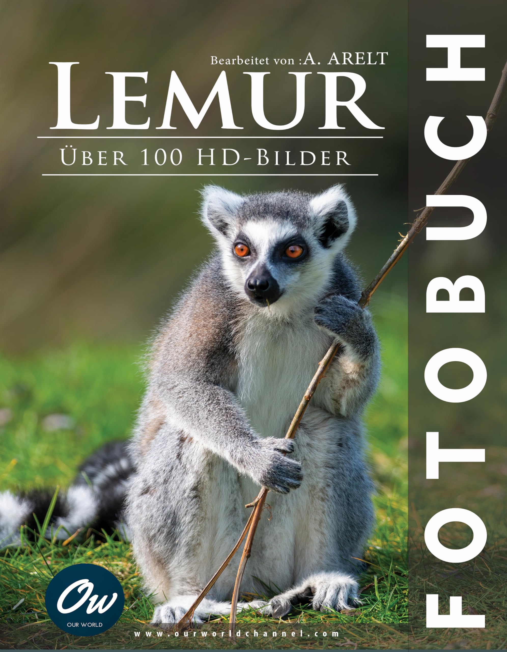 Lemur livre photo pour embellir votre salon et s'evader en famille dans la nature